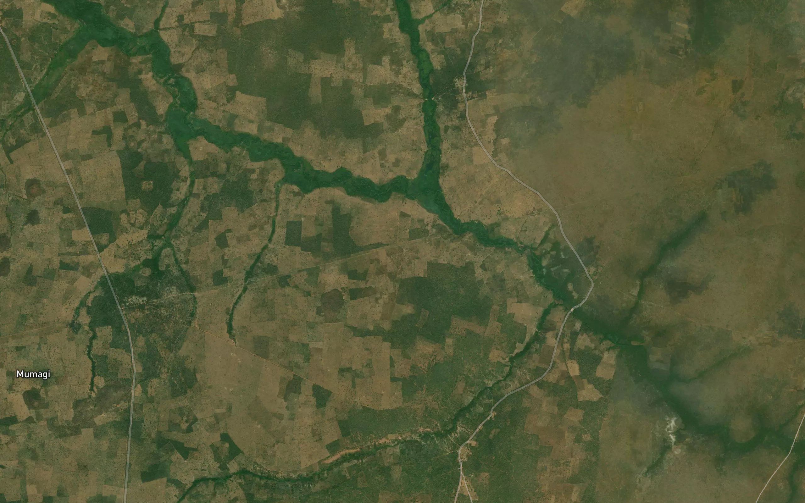 River Pimmi