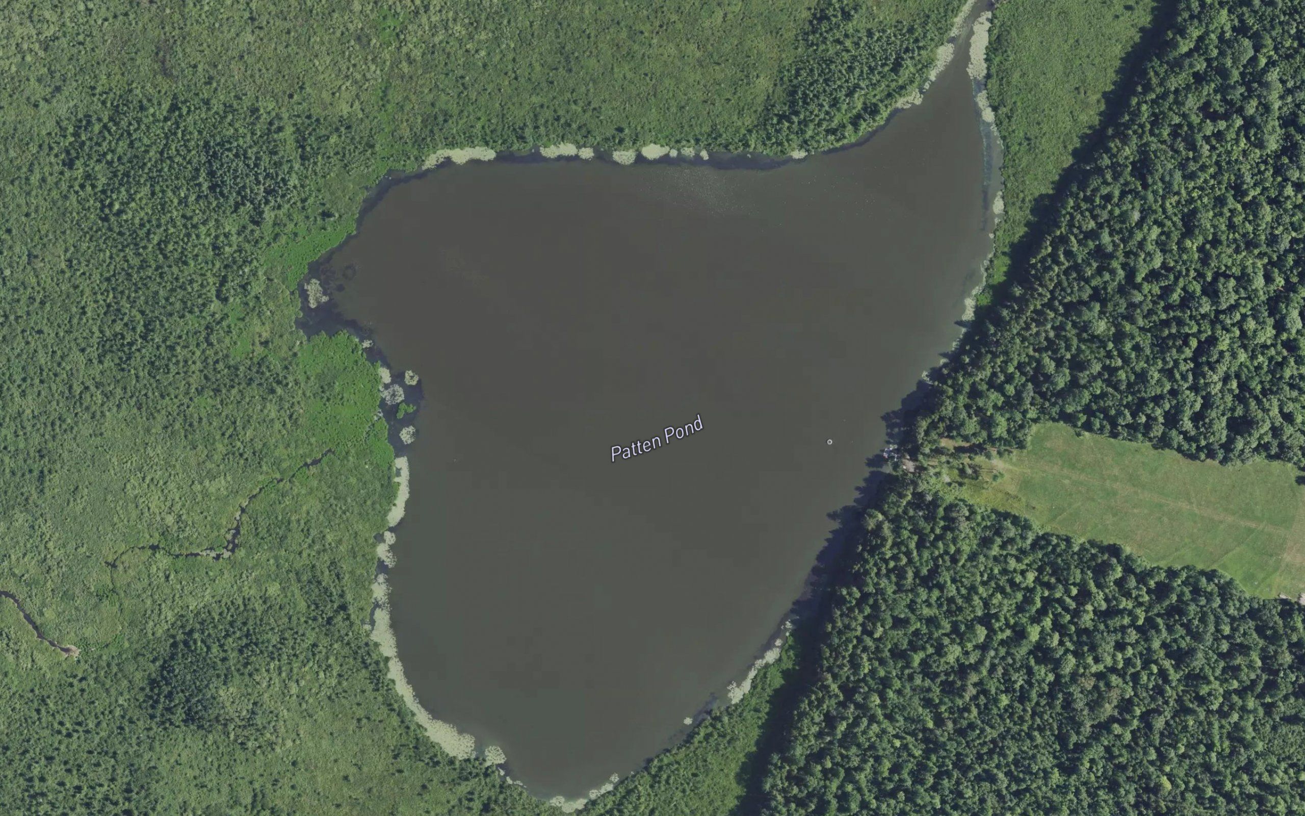 Patten Pond
