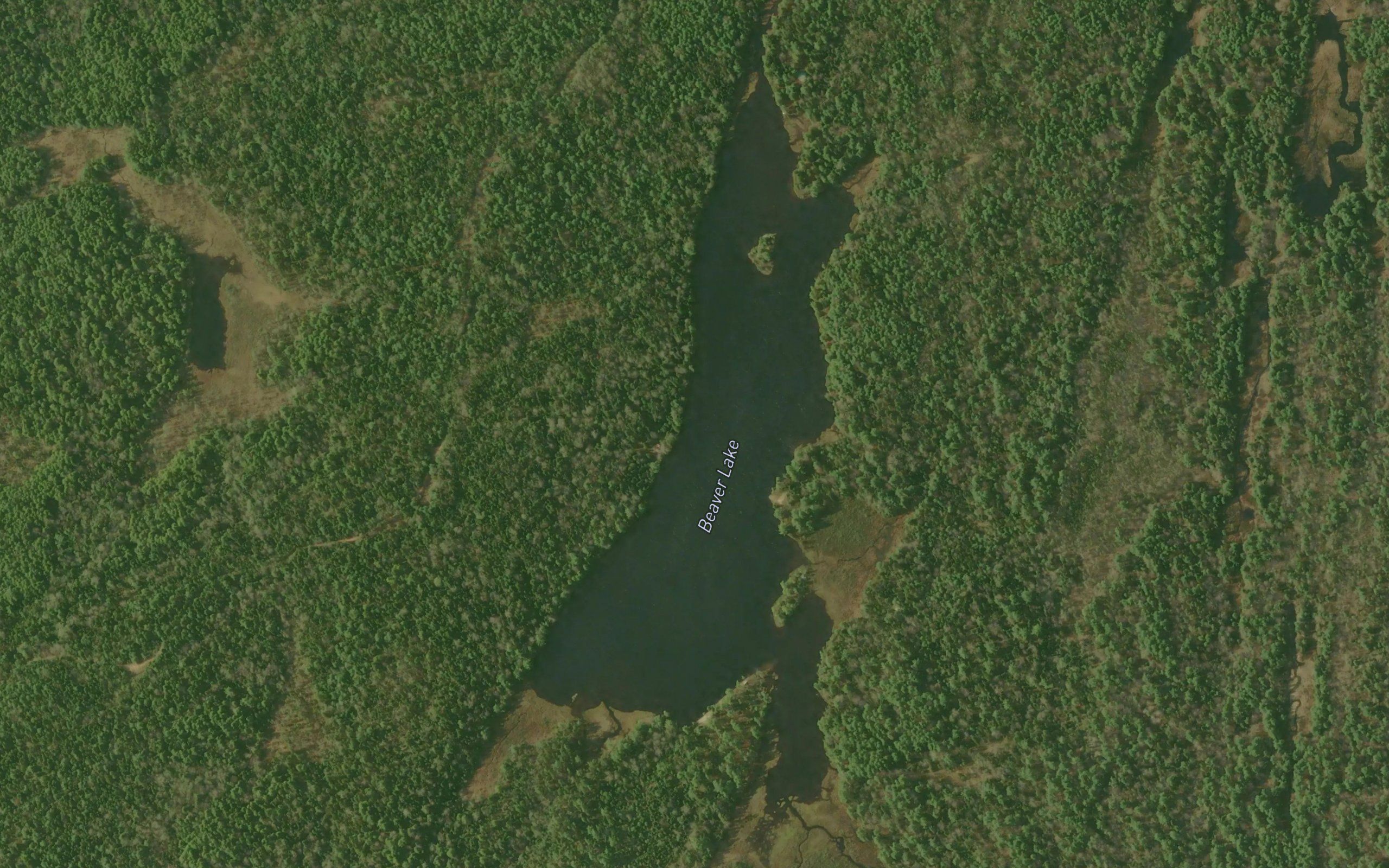Beaver Lake