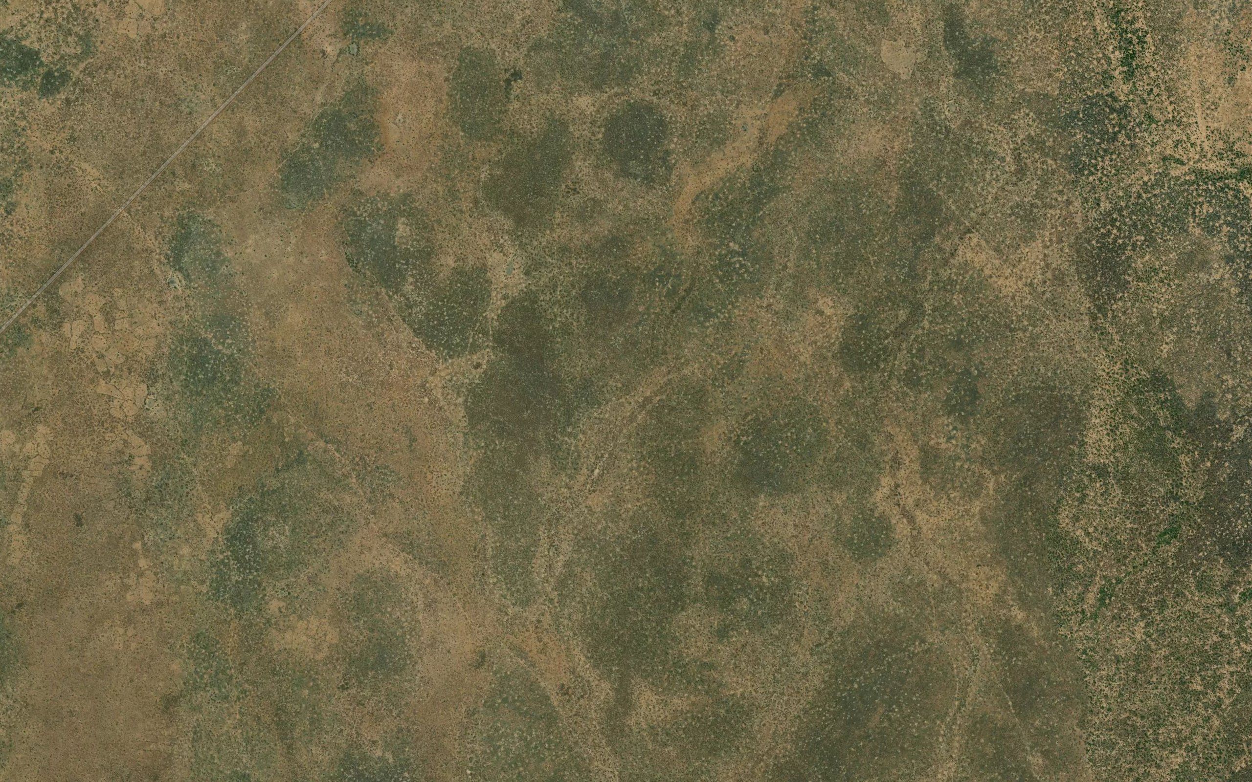Gughani