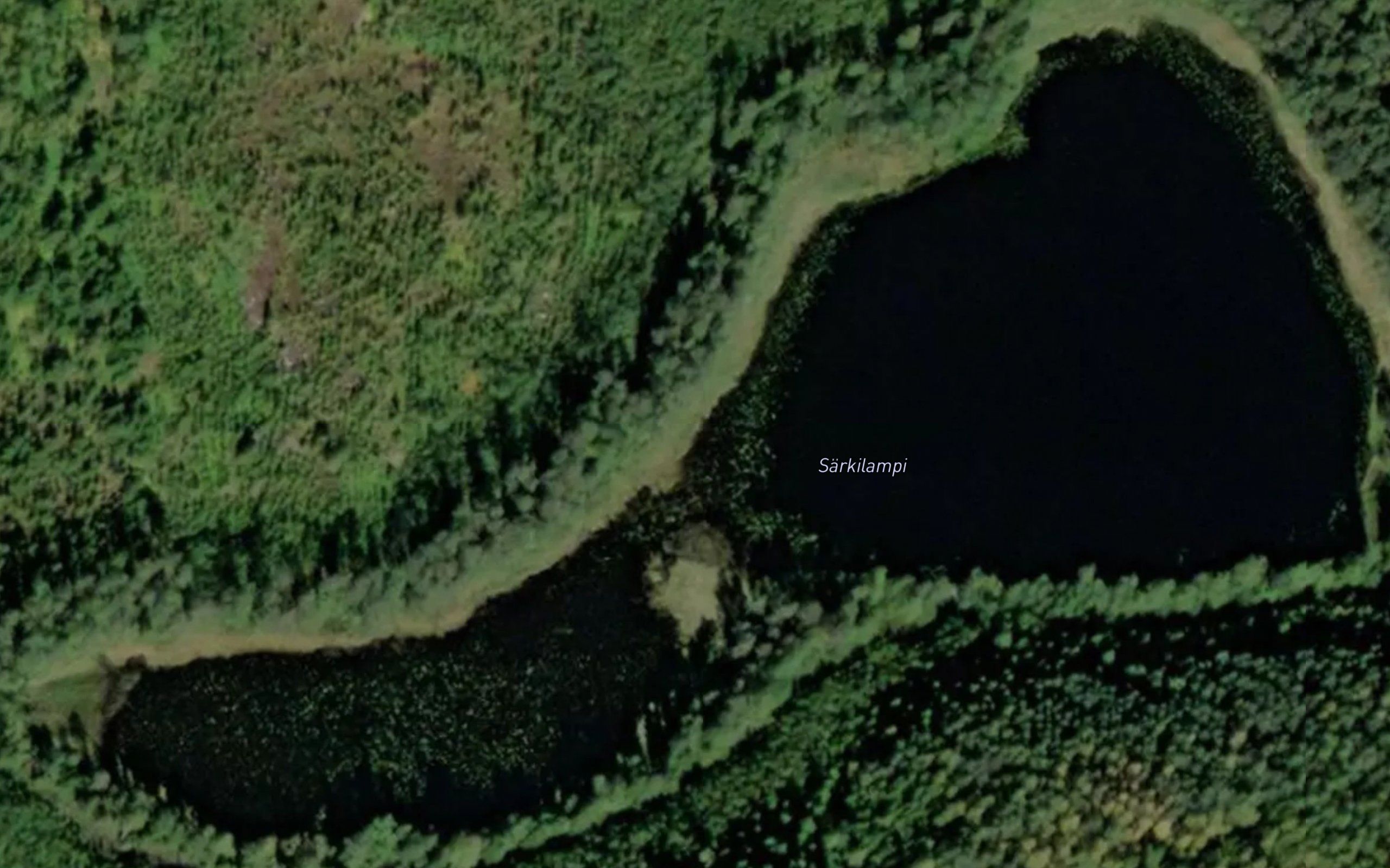 Sarkilampi