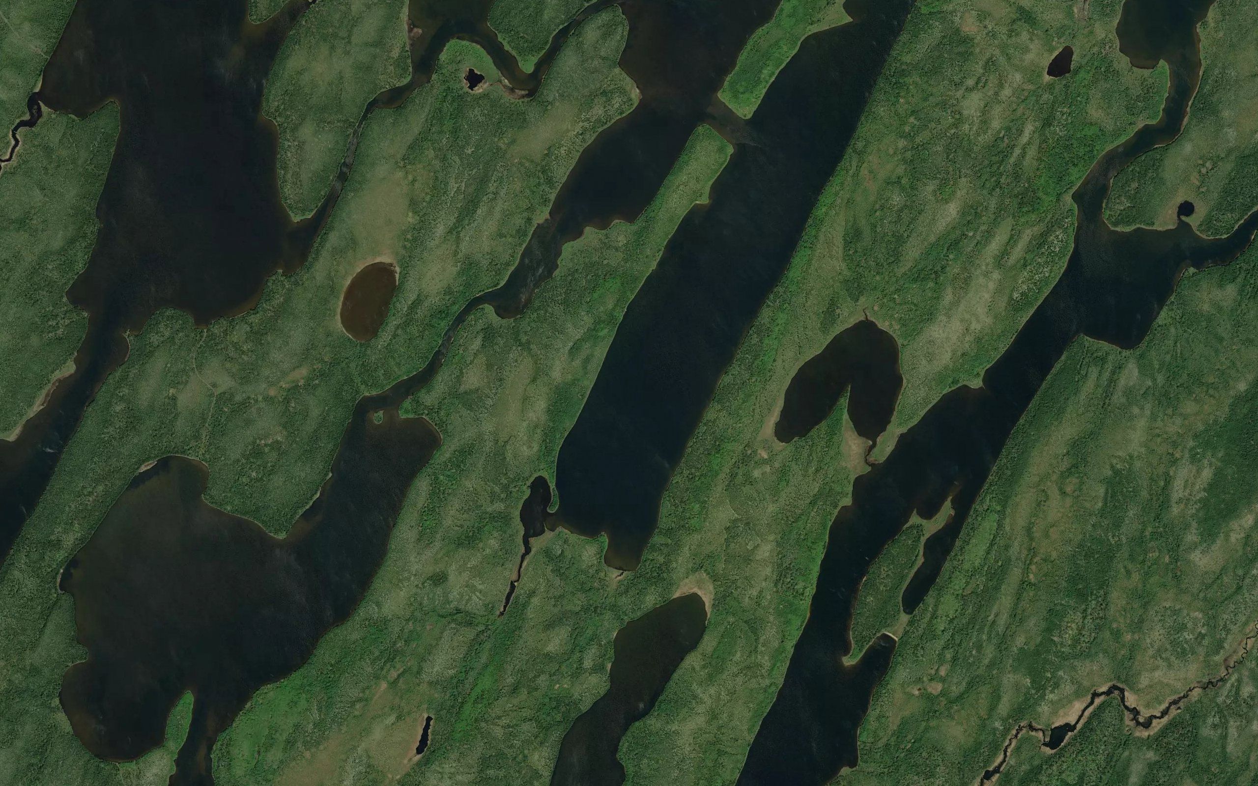 Long Dog Lake