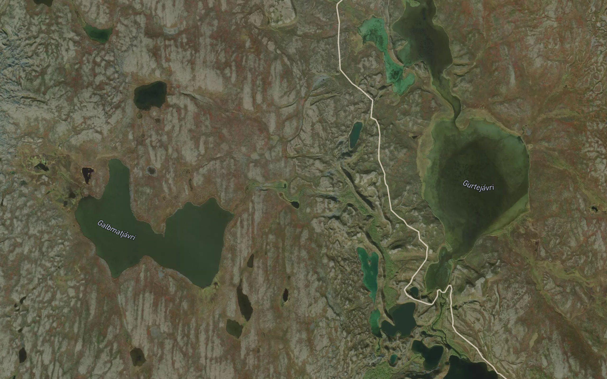 Galbmatjakka