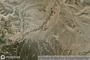 Mule Spring