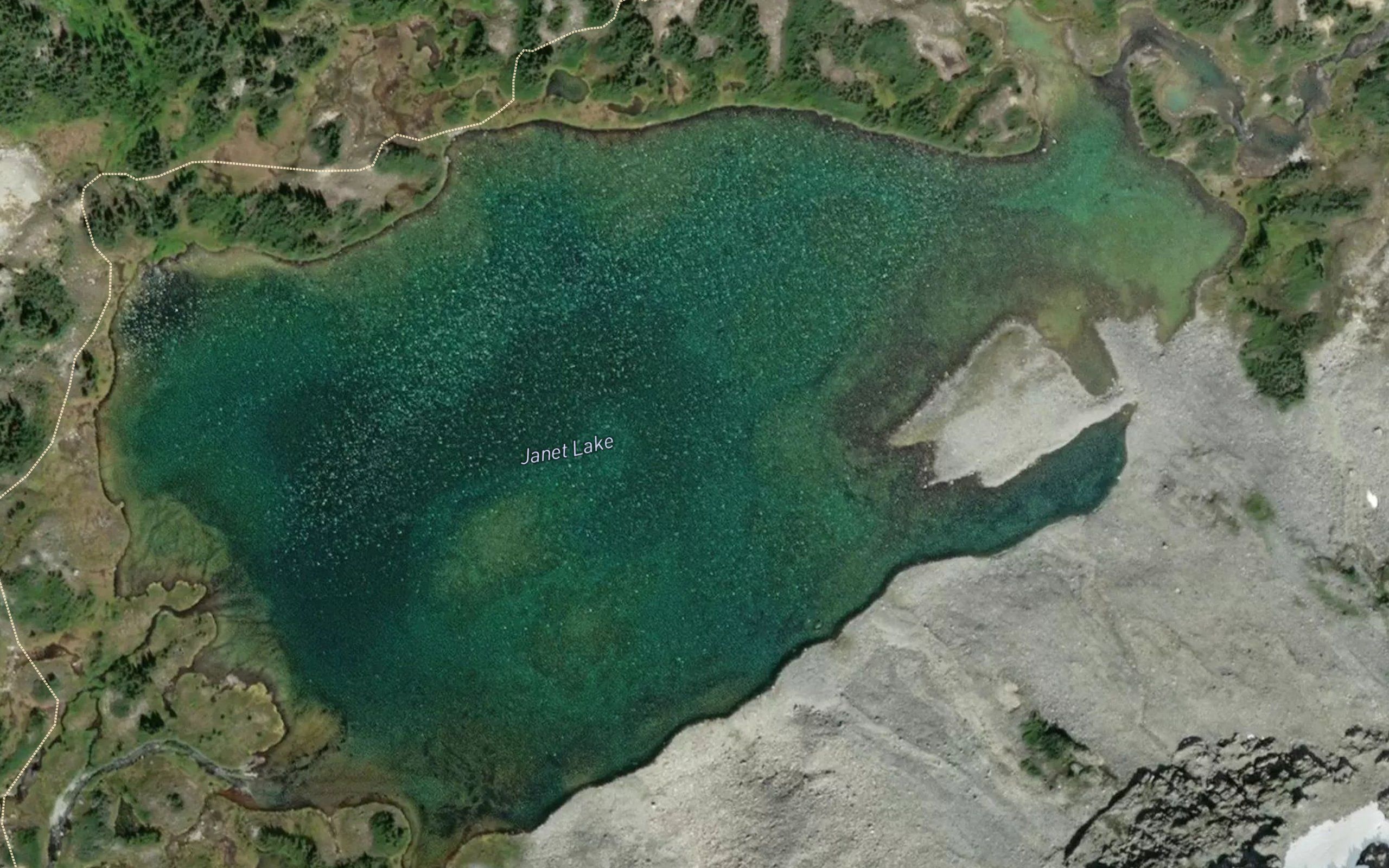 Janet Lake