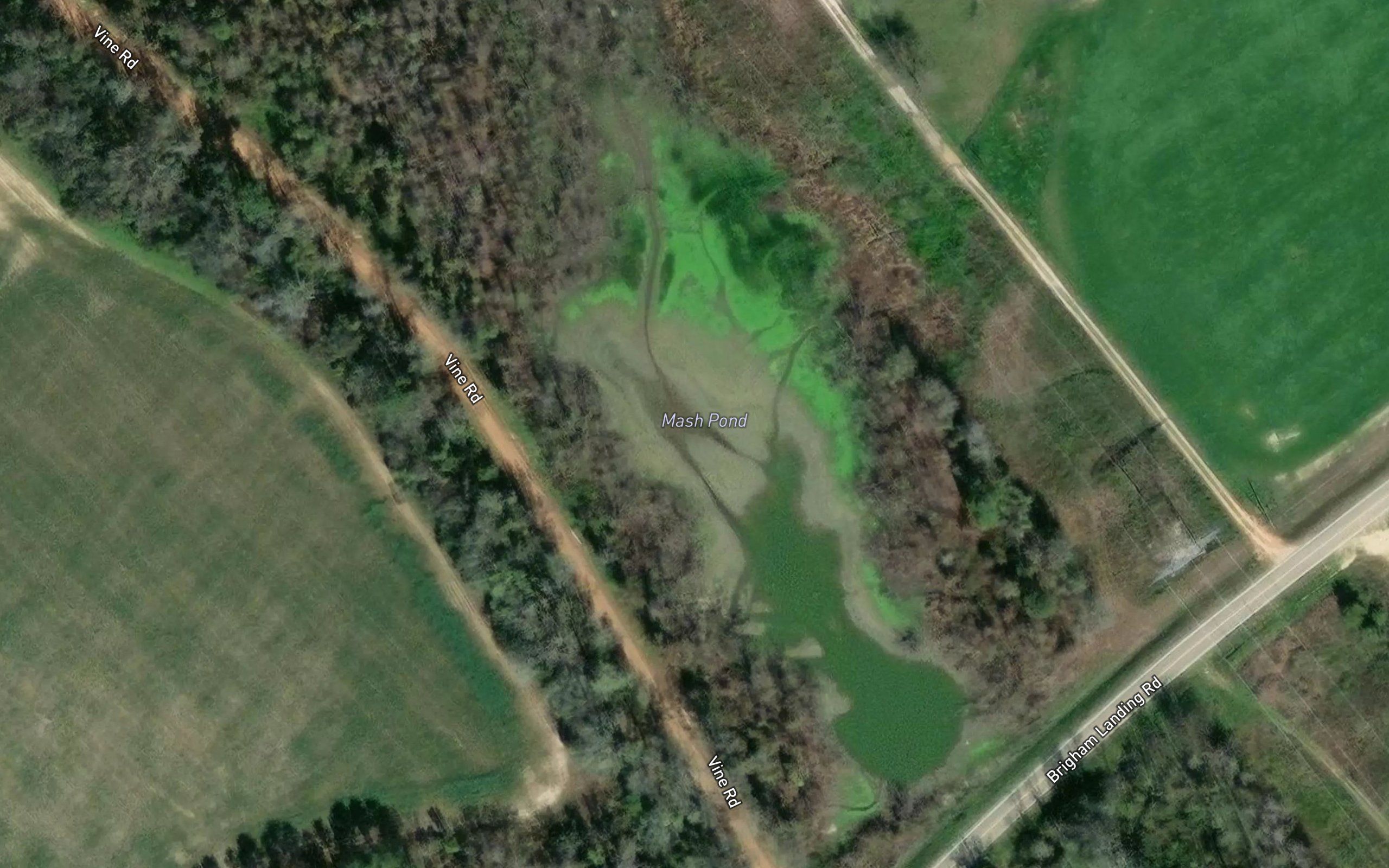 Mash Pond
