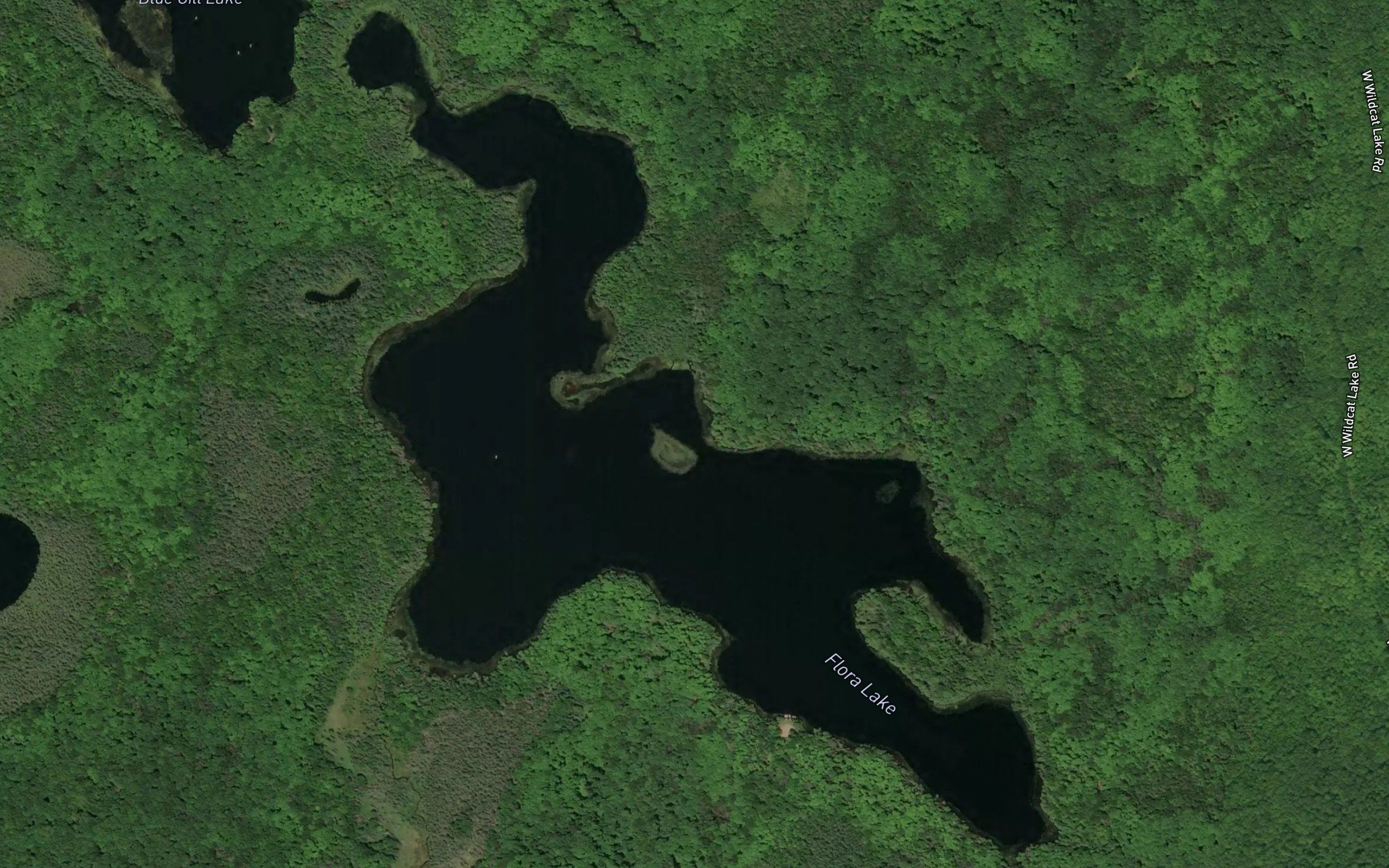 Flora Lake