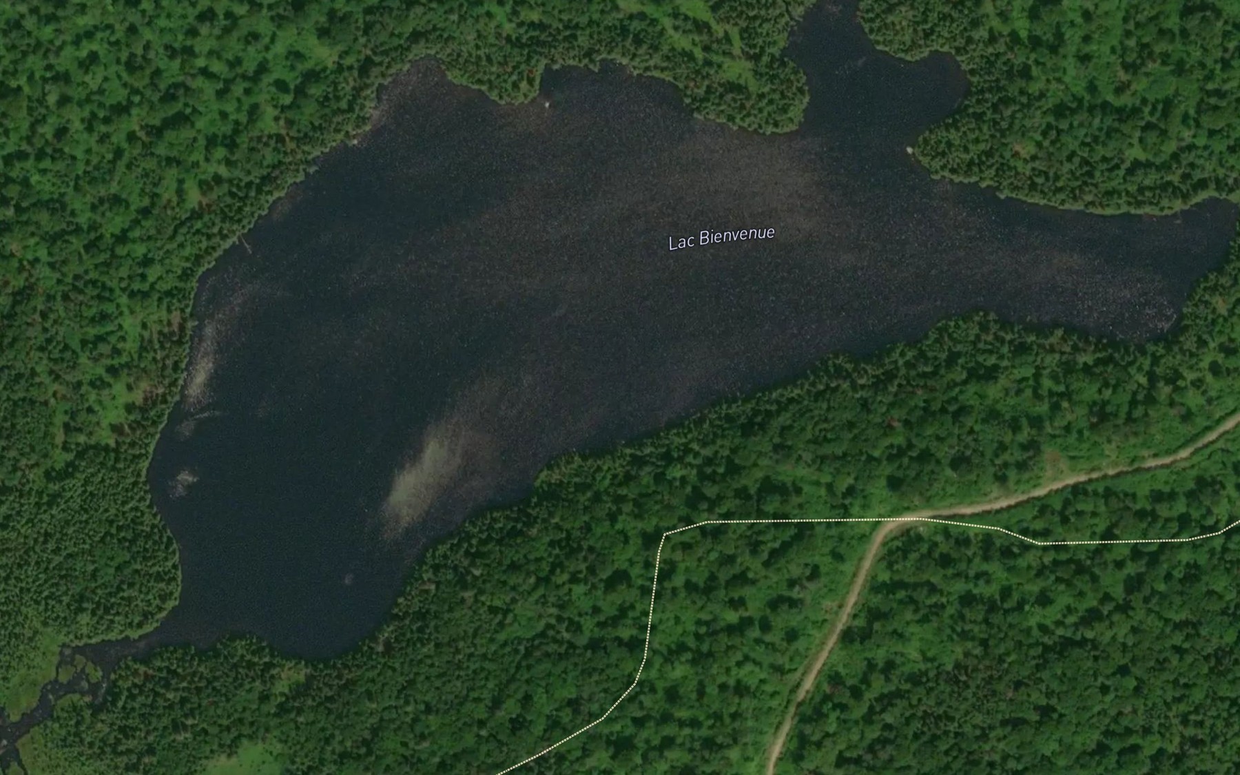 Satellite map of the Lac Bienvenue