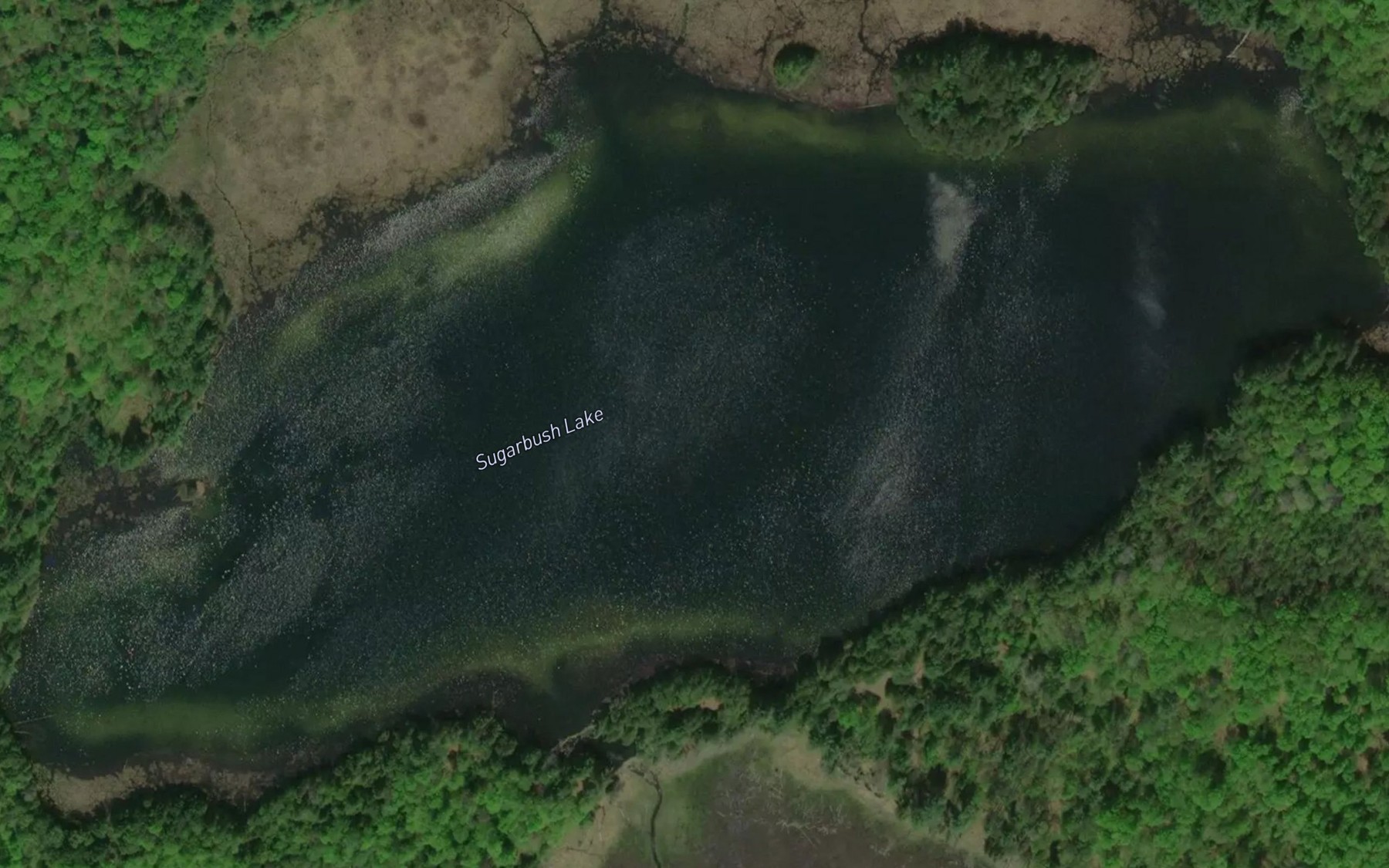 Satellite map of the Sugarbush Lake