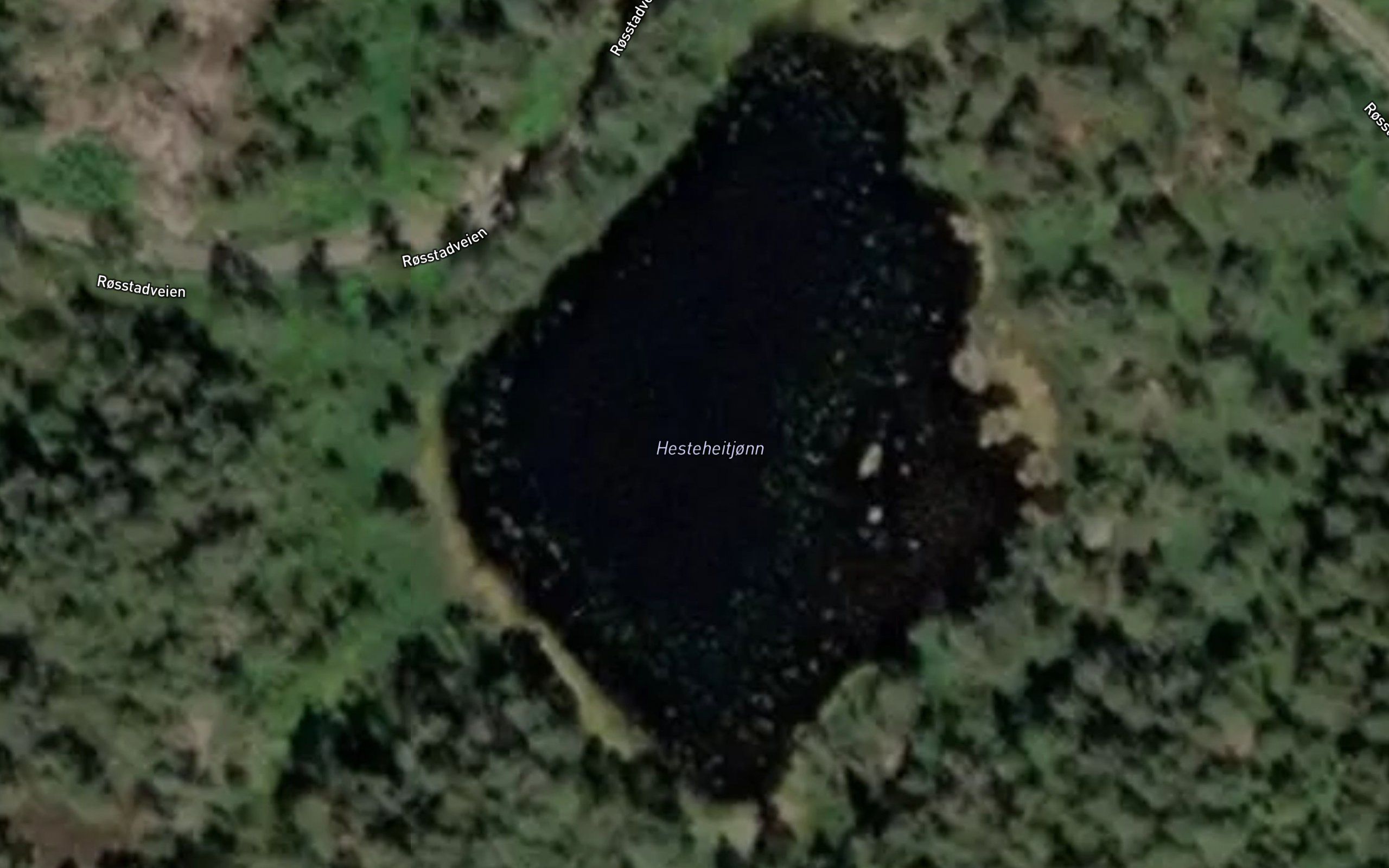 Hesteheitjonn