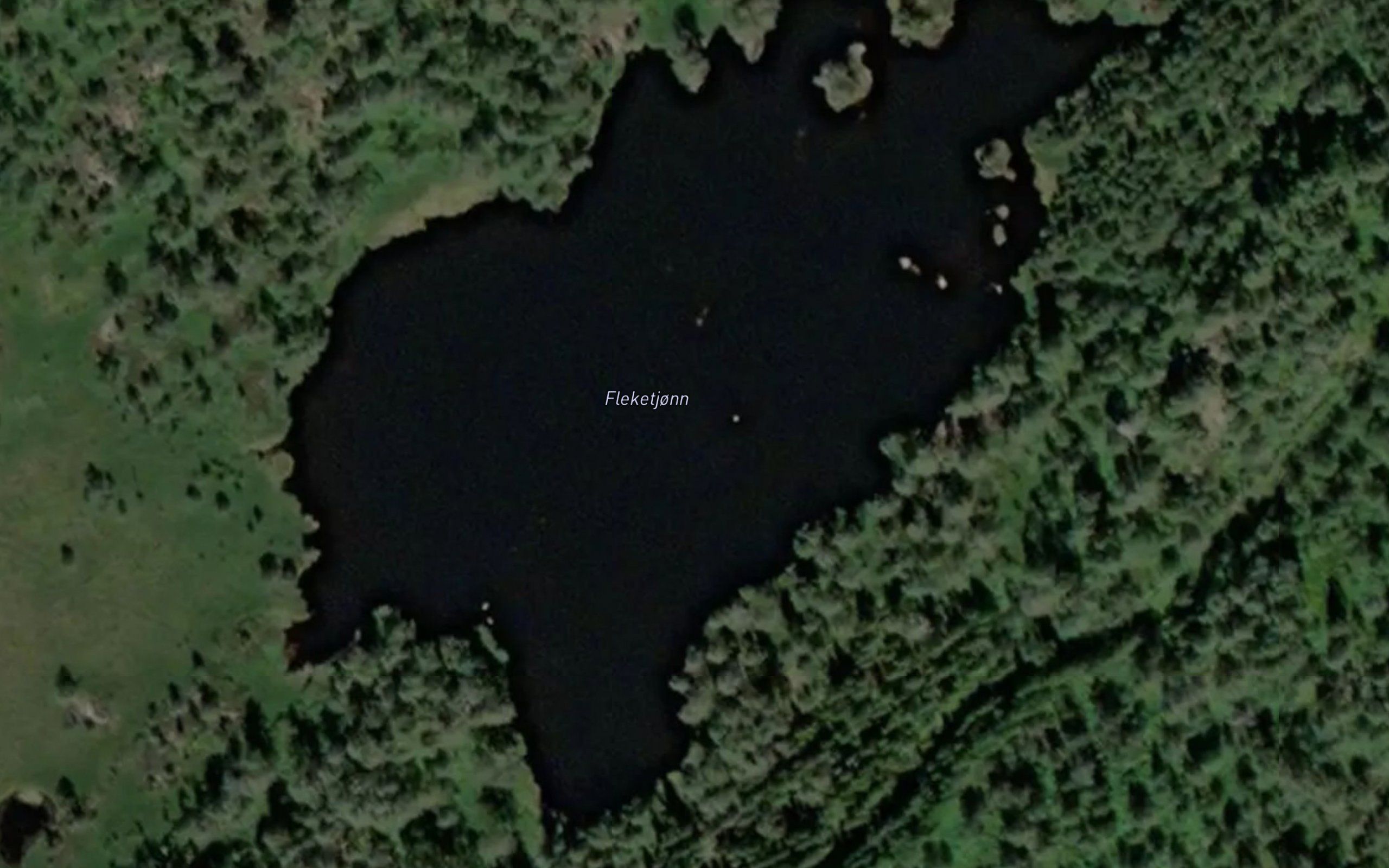 Fleketjorn