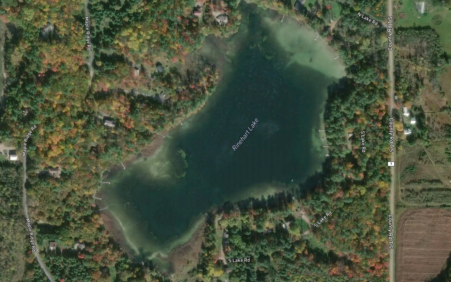 Satellite map of the Rinehart Lake