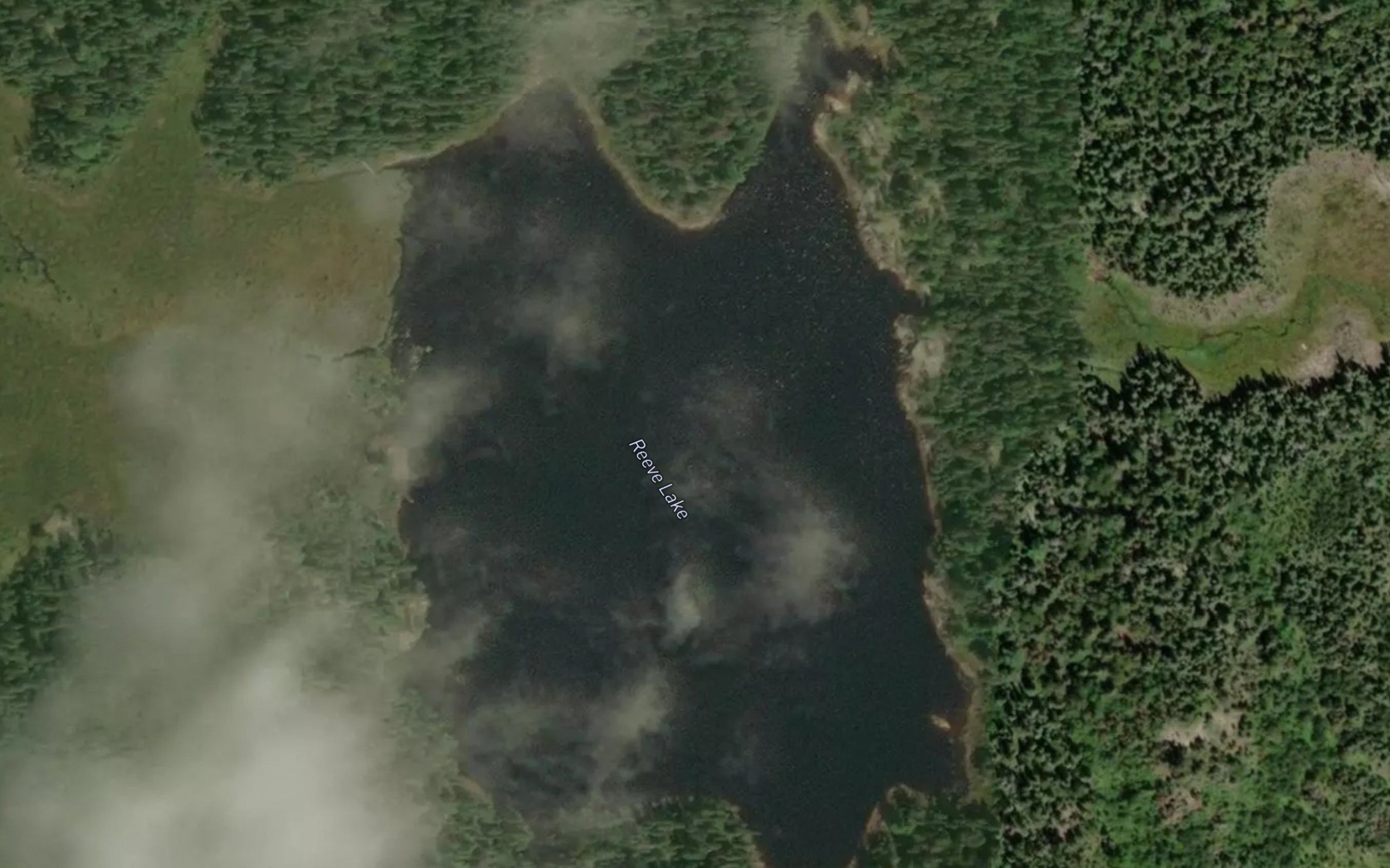 Satellite map of the Reeve Lake