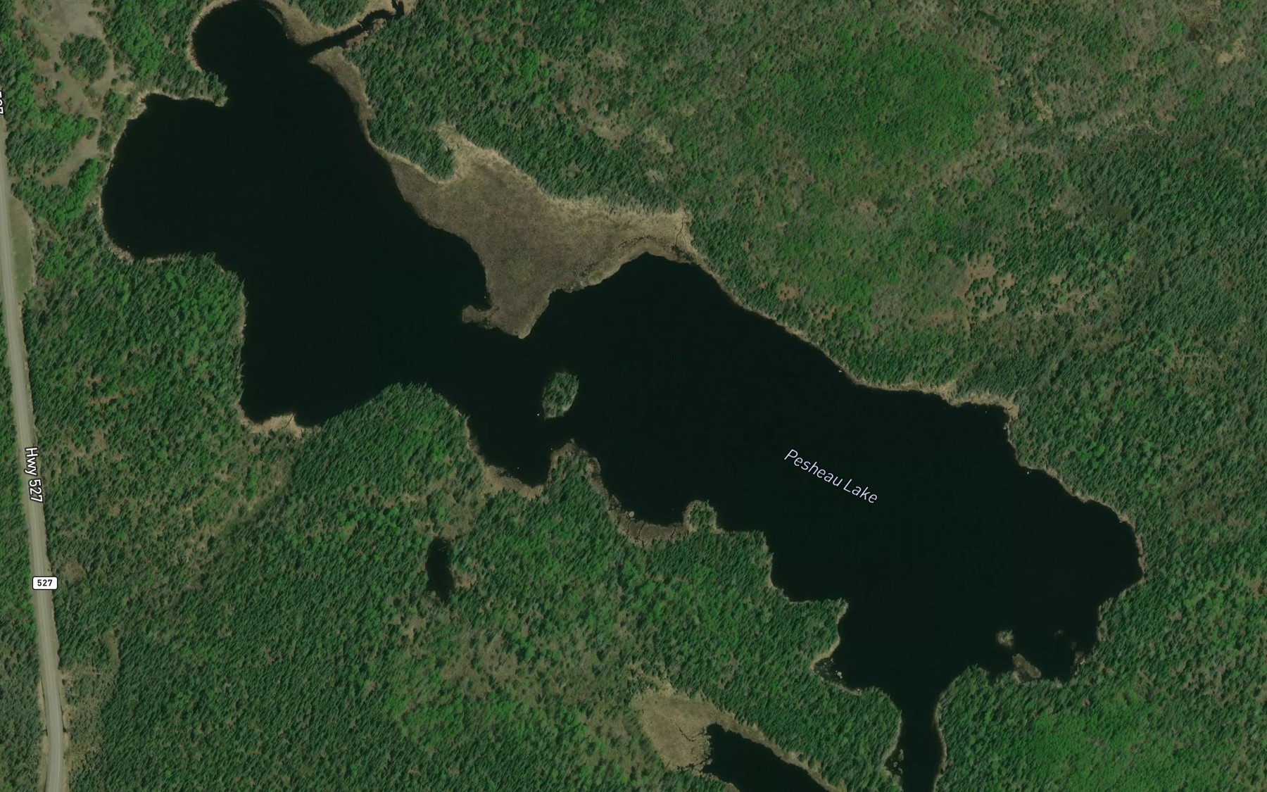 Satellite map of the Pesheau Lake