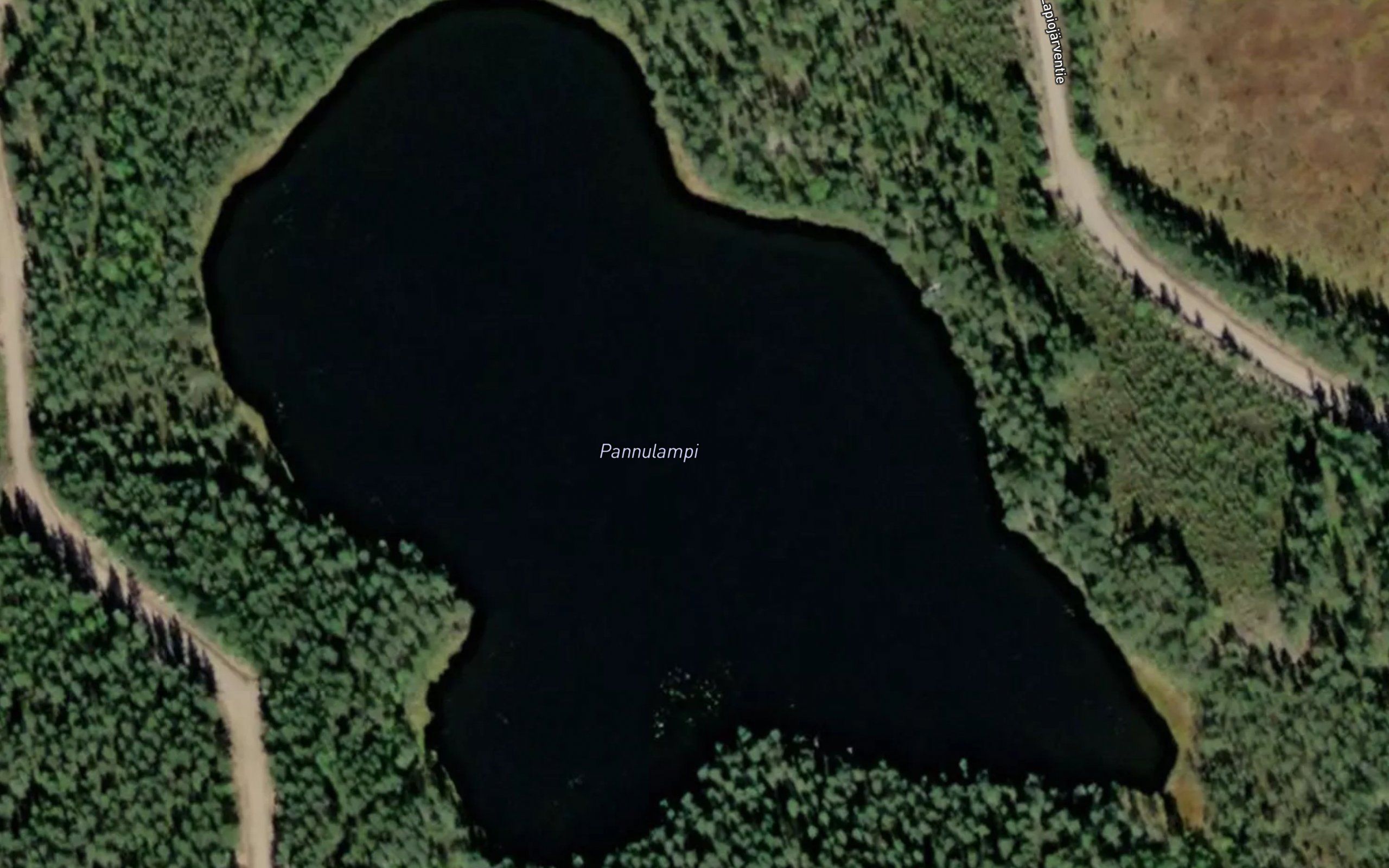 Pannulammit