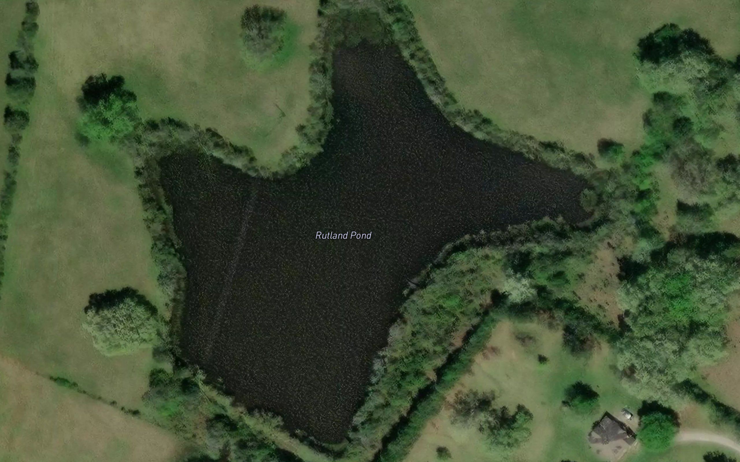 Rutland Pond