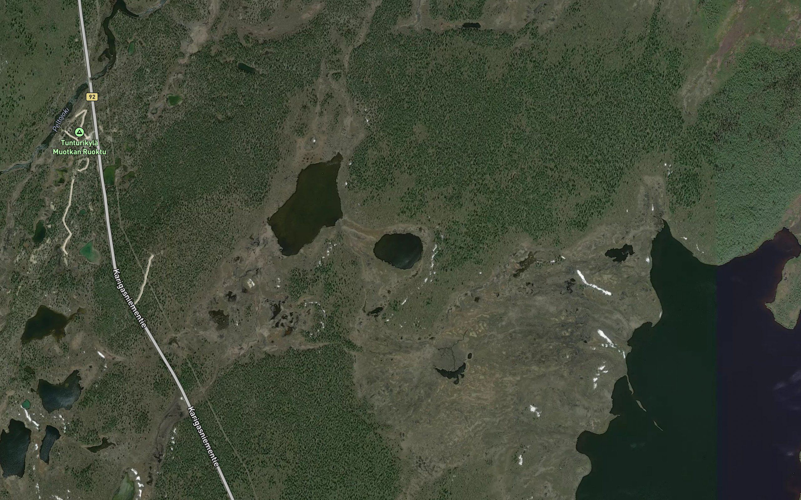 Skoarralattu