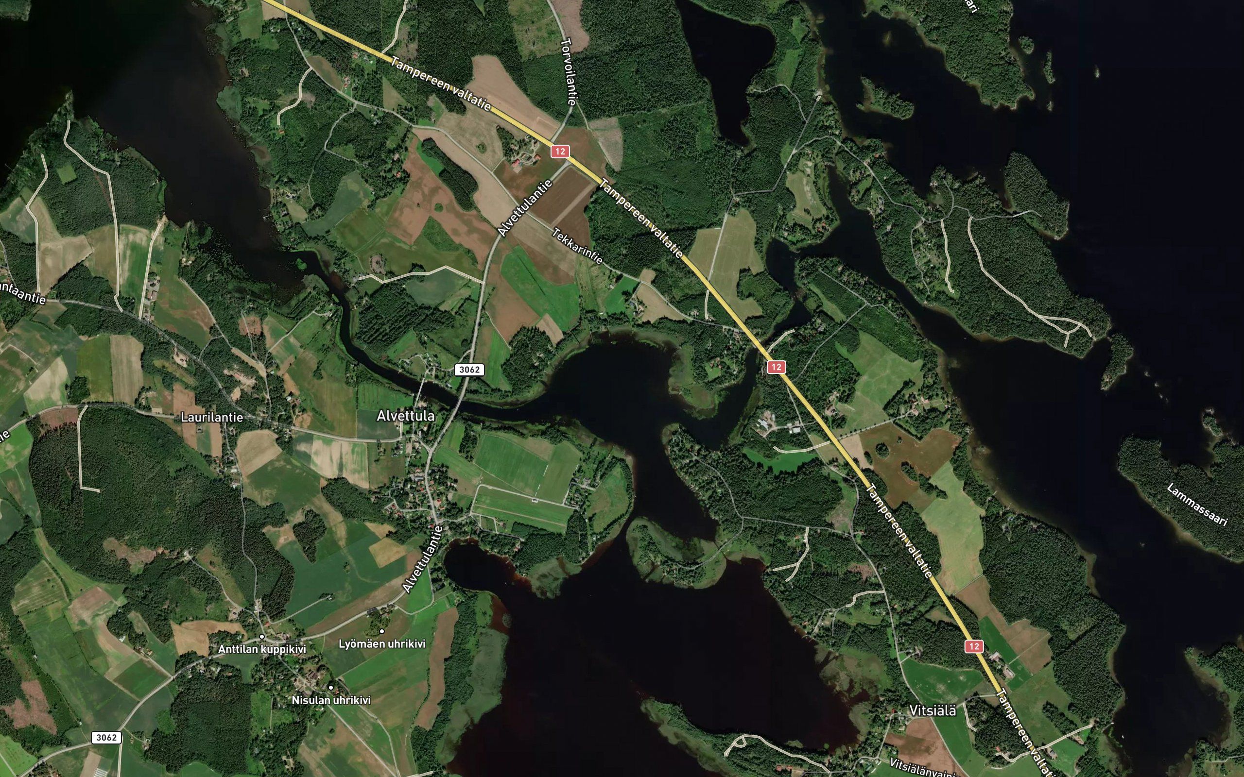 Lakkianselka