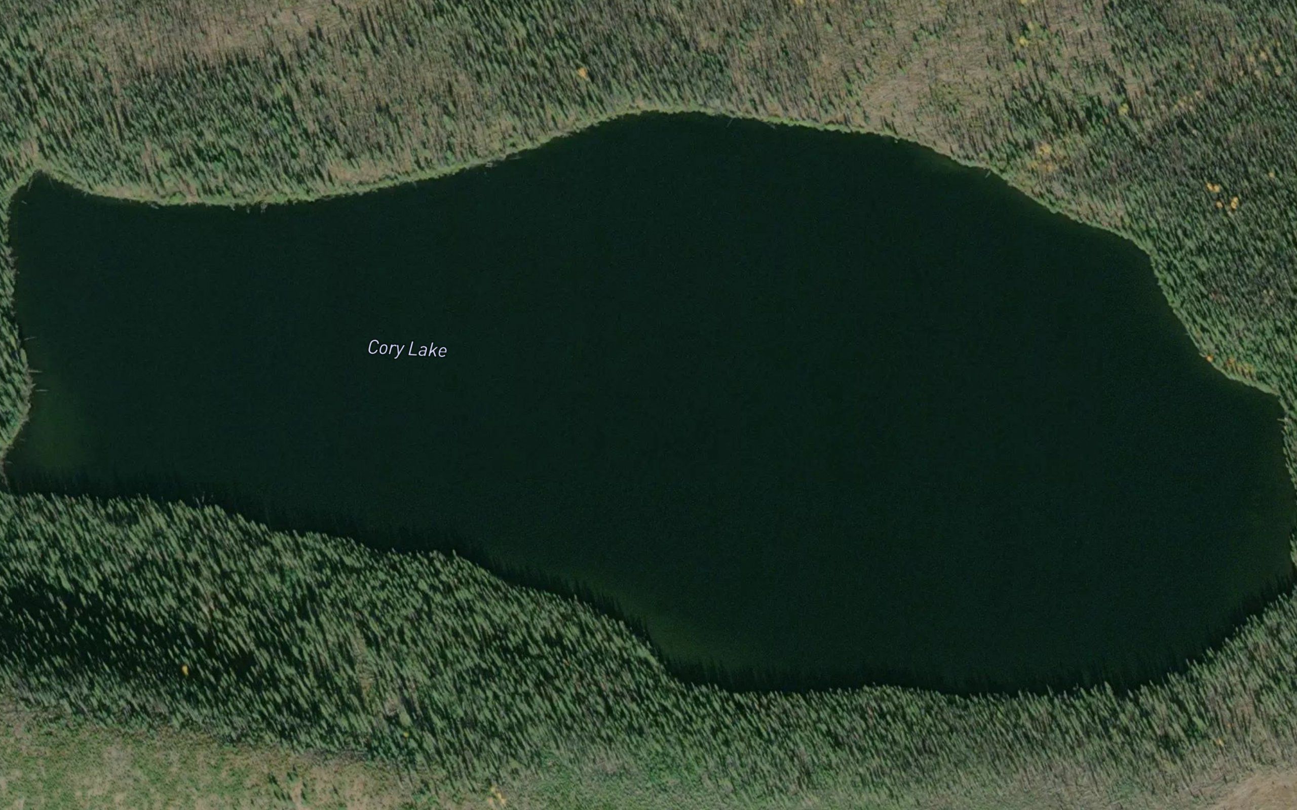 Cory Lake