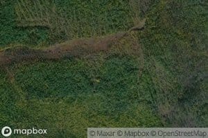 Pad' Gryaznaya Podushka