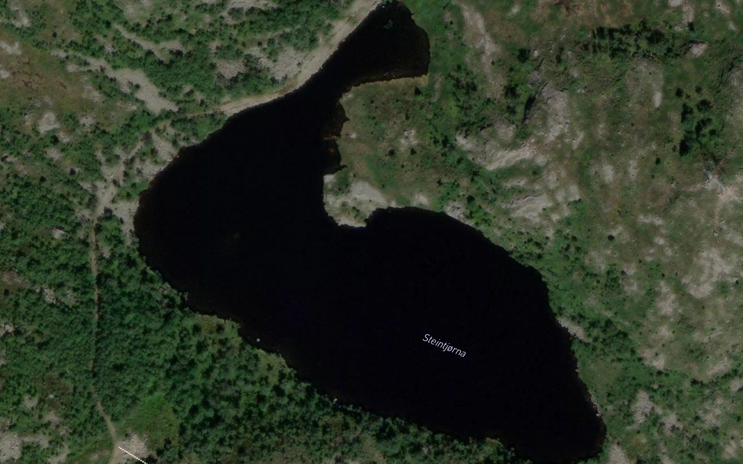 Steintjorna