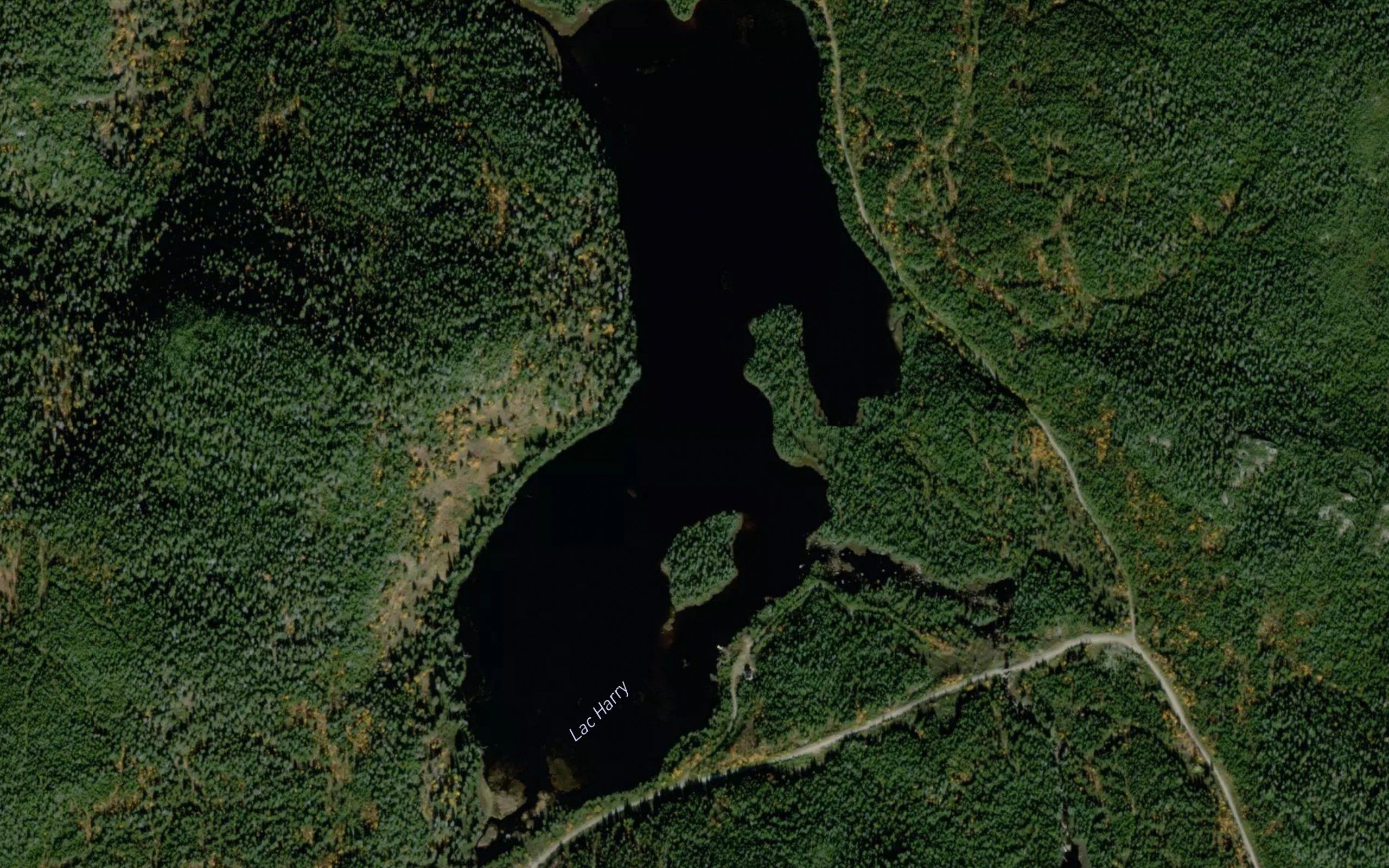 Lac Harry