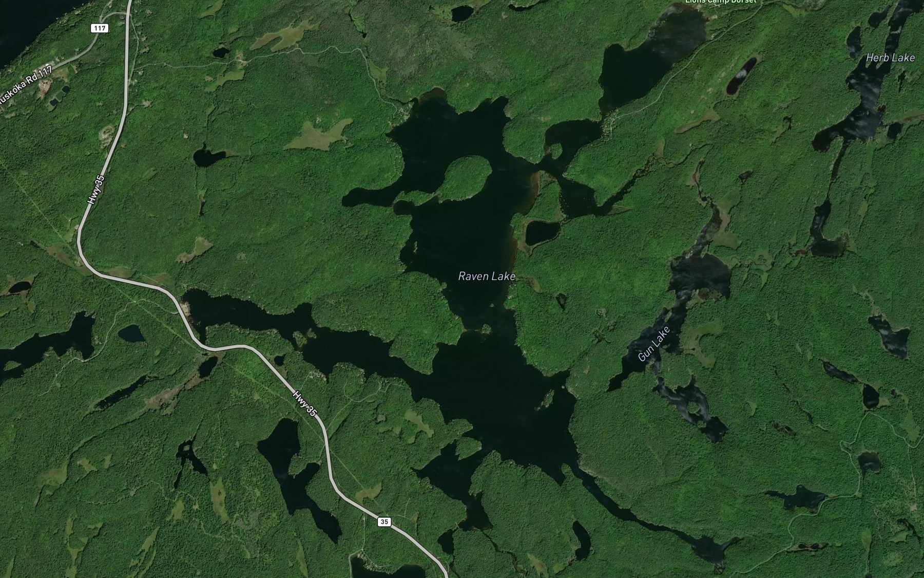 Satellite map of the Raven Lake
