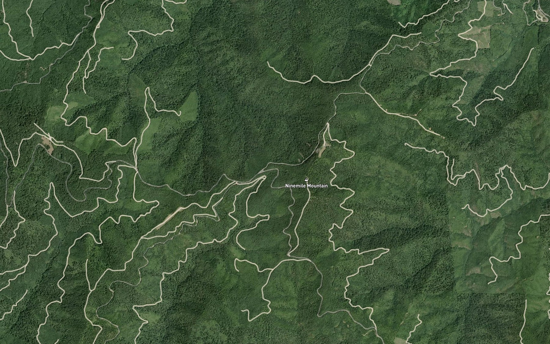 Satellite map of the Ninemile Spring