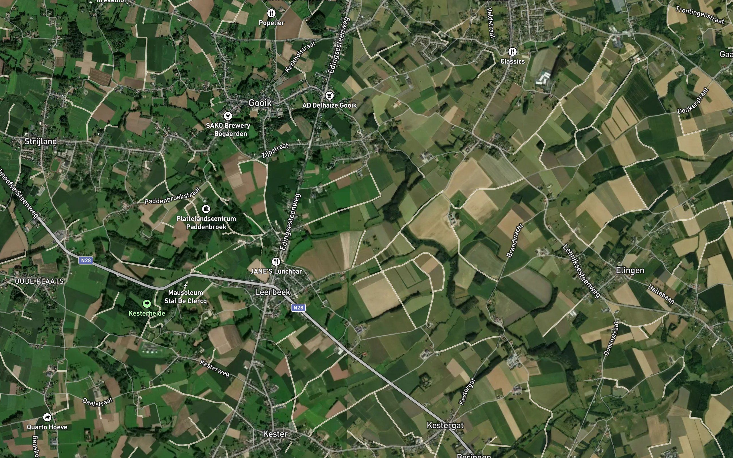 Bosbeek