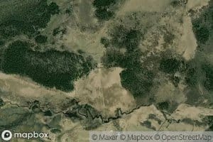 Waite Creek