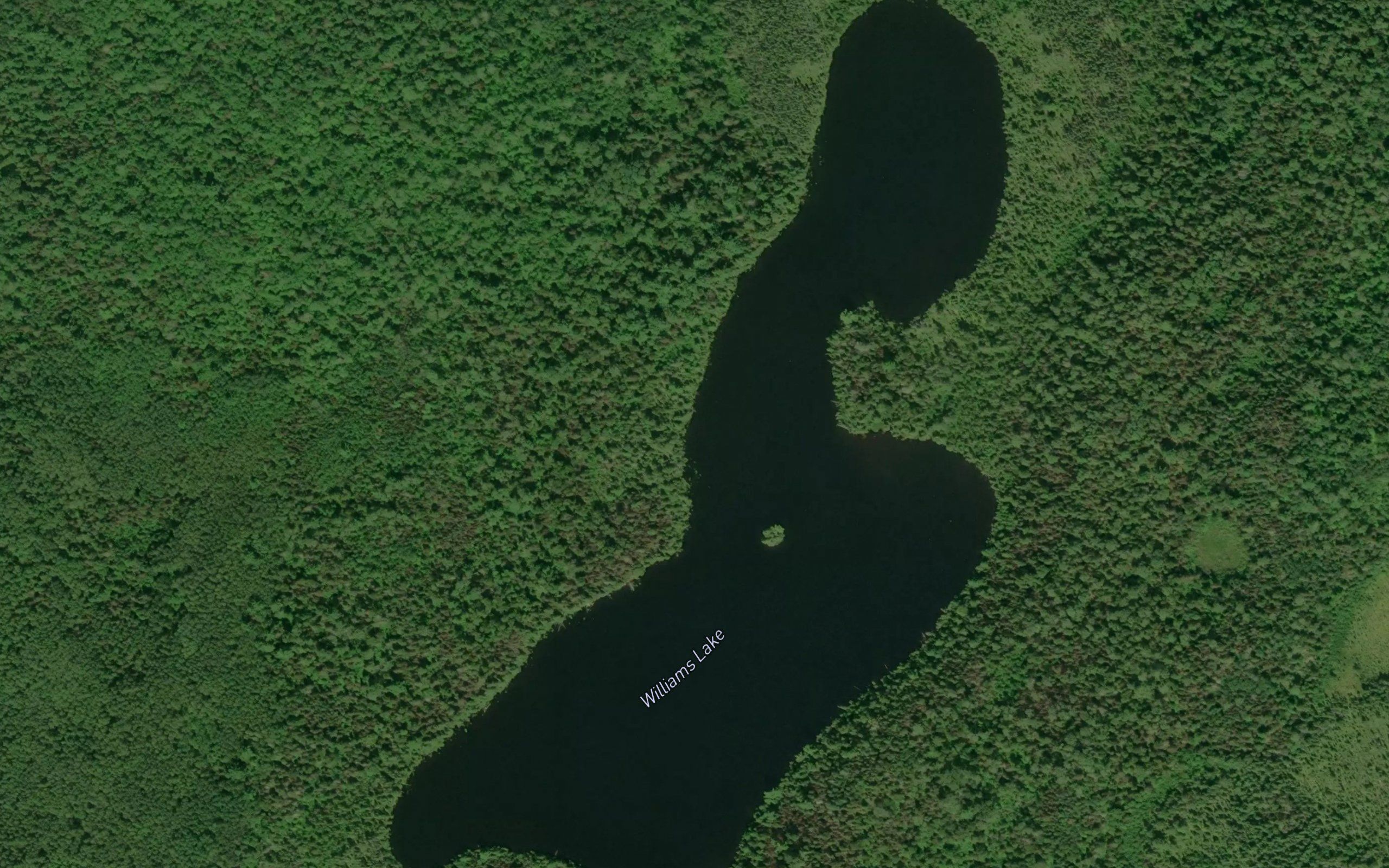 Williams Lake