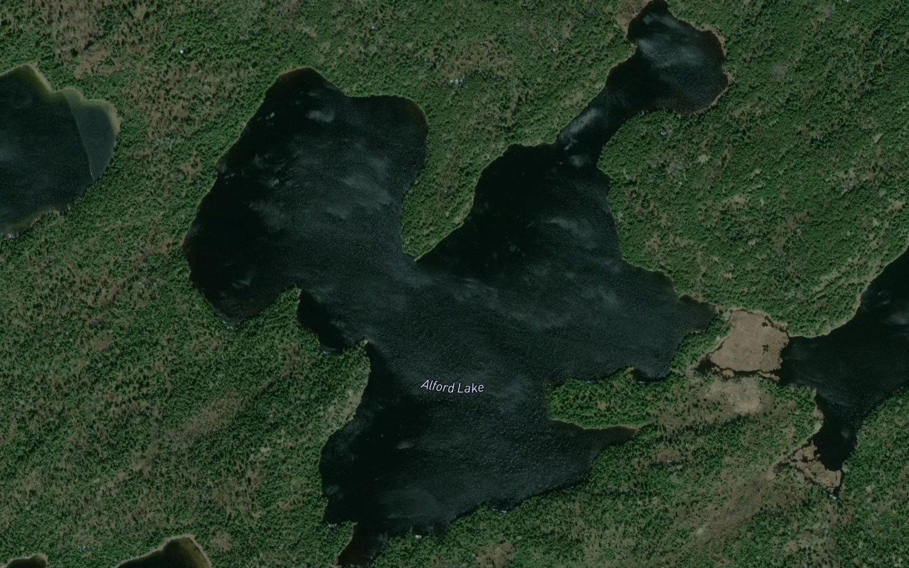 Satellite map of the Alford Lake