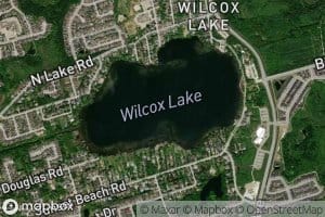 Wilcox Lake