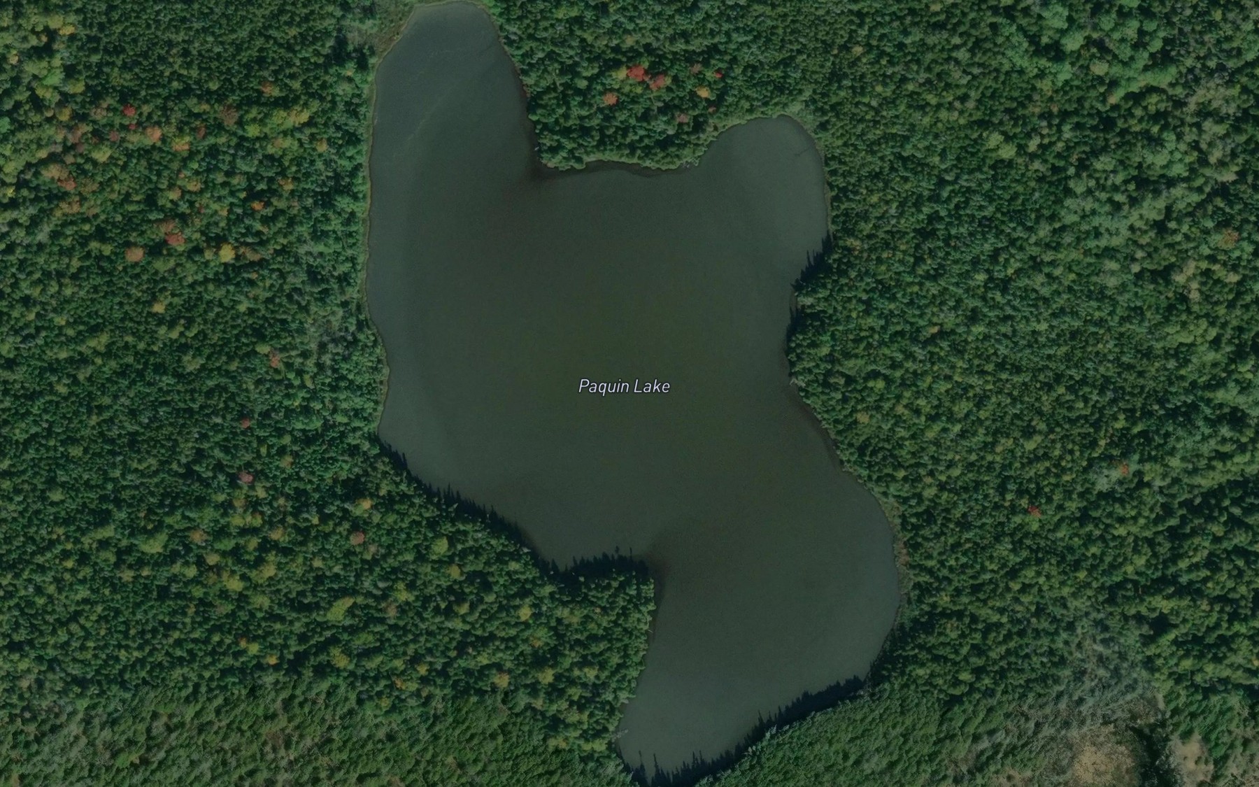 Satellite map of the Paquin Lake
