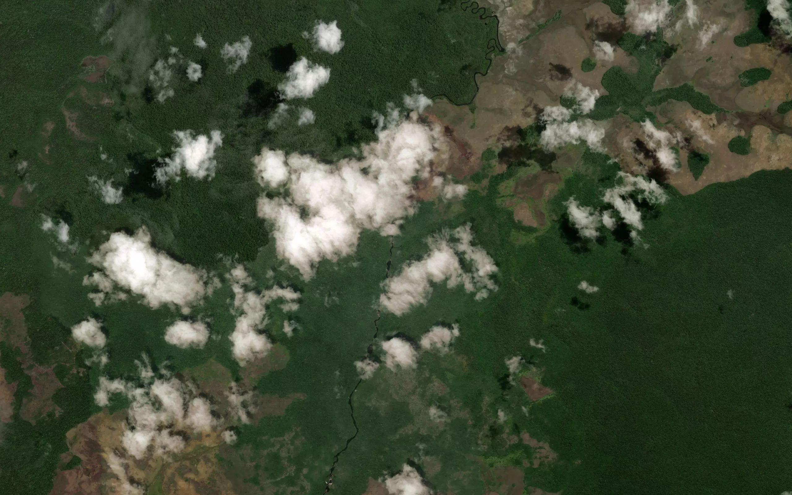 Igarape Amolia
