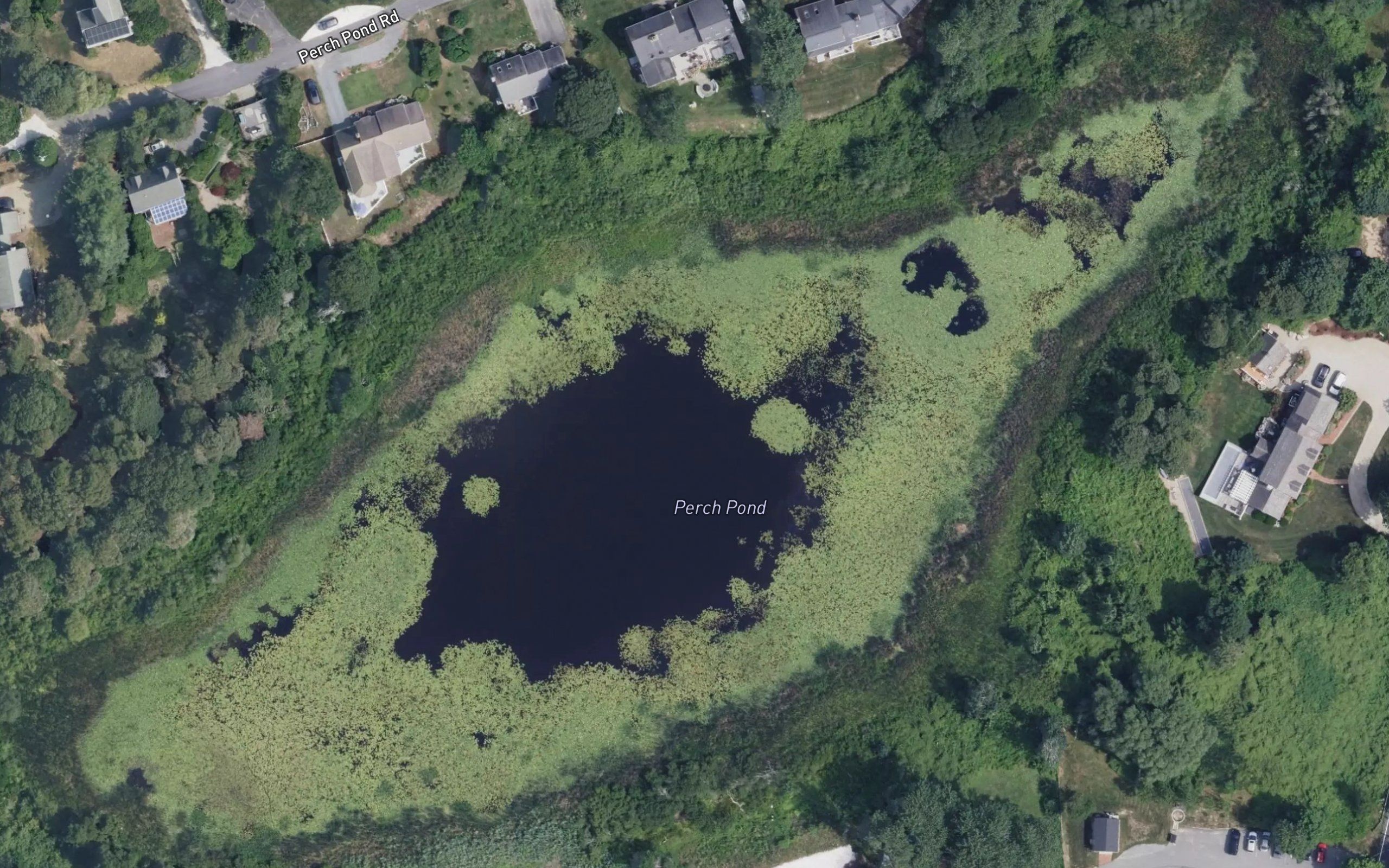 Perch Pond
