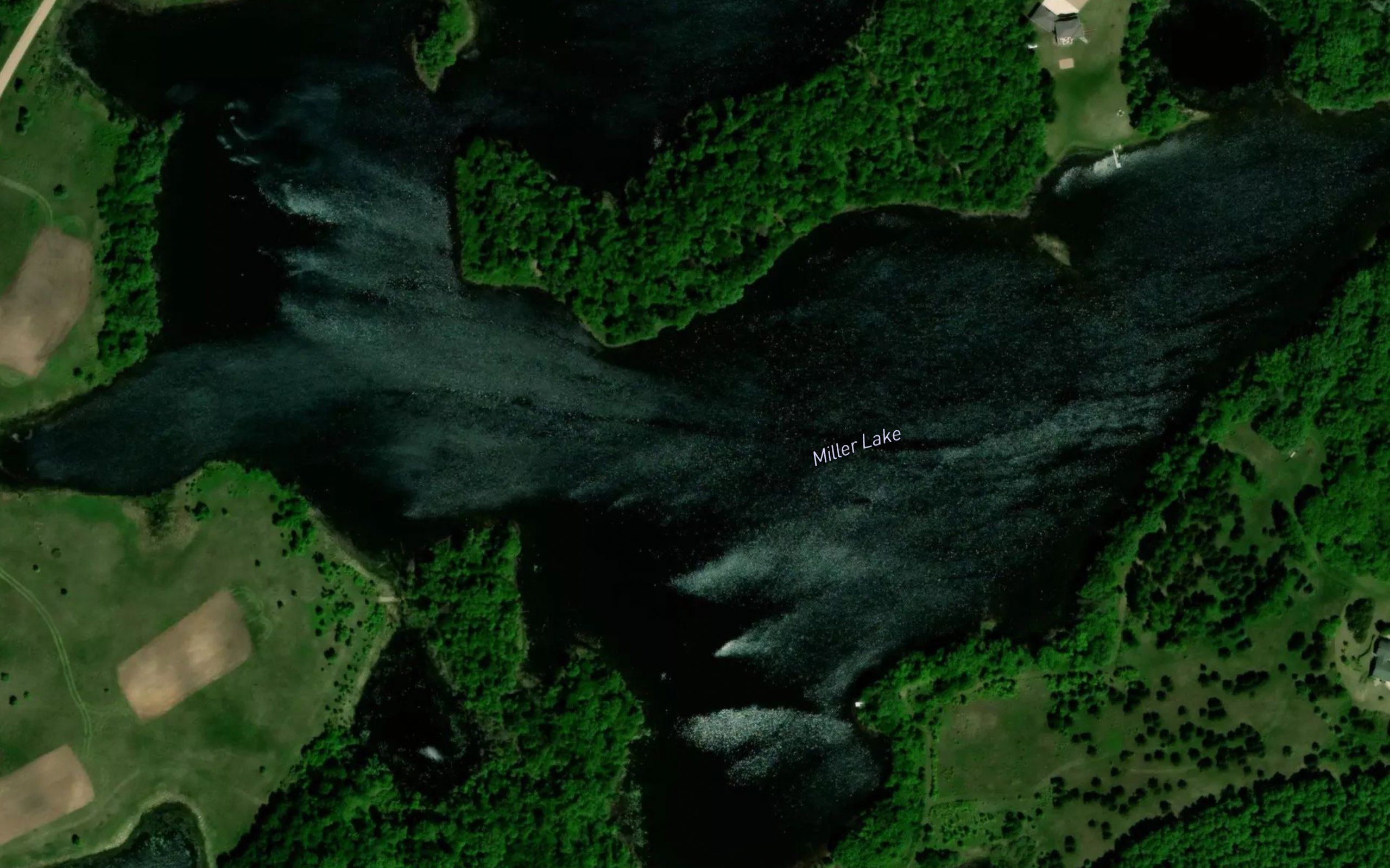 Miller Lake