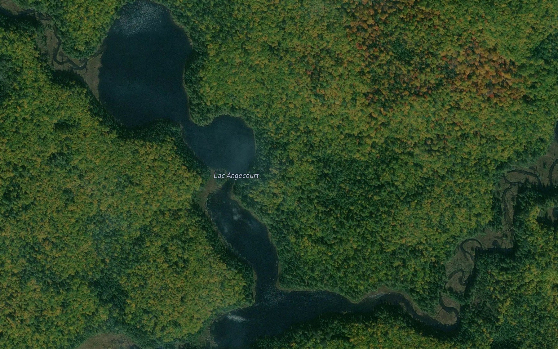 Satellite map of the Lac Angecourt