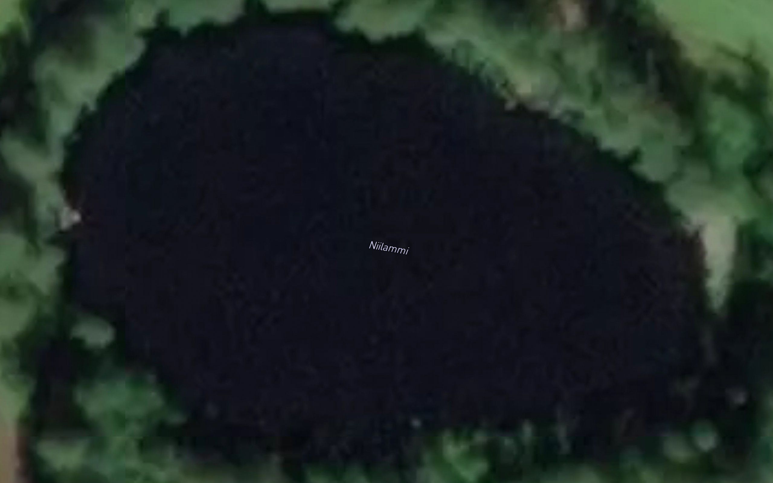 Niilammi