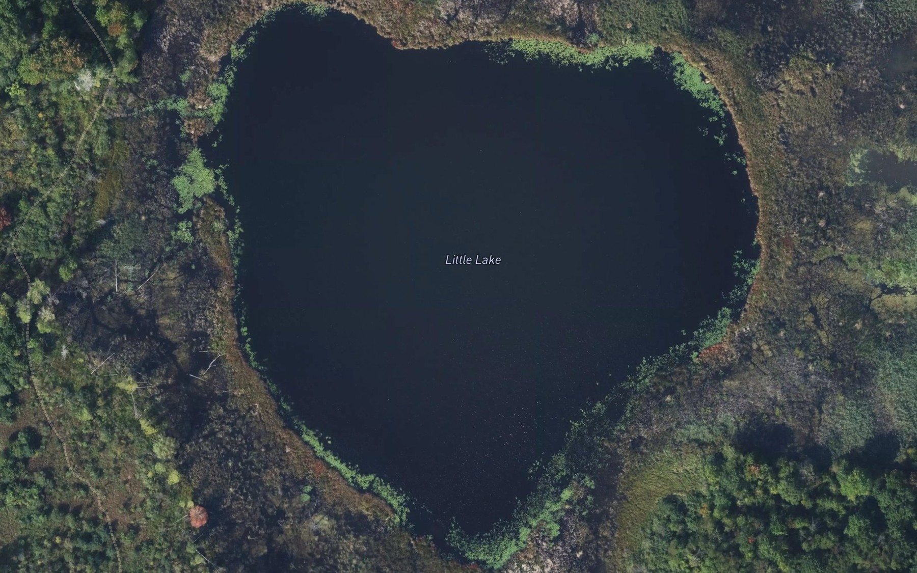 Satellite map of the Little Lake