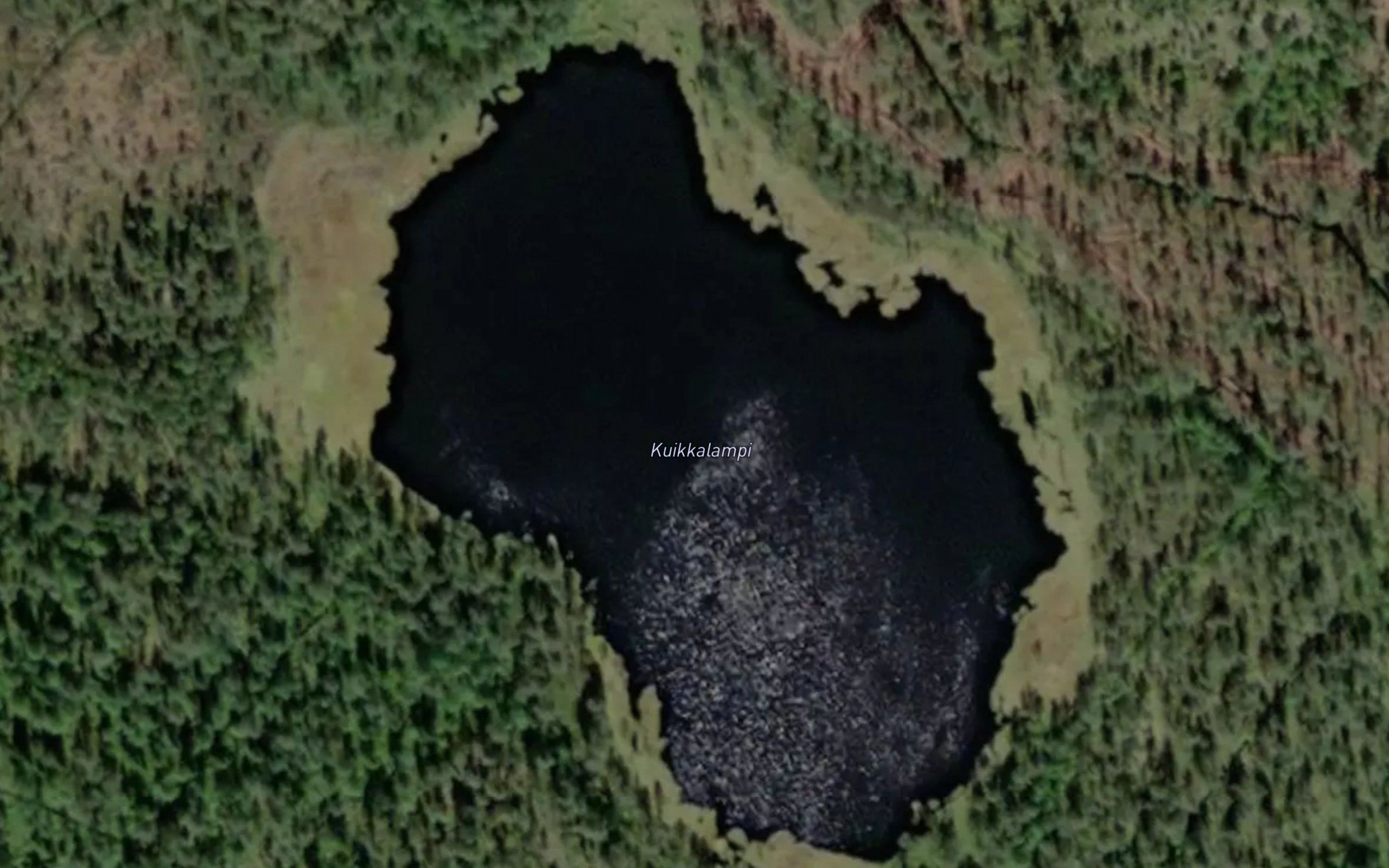 Kuikkalampi