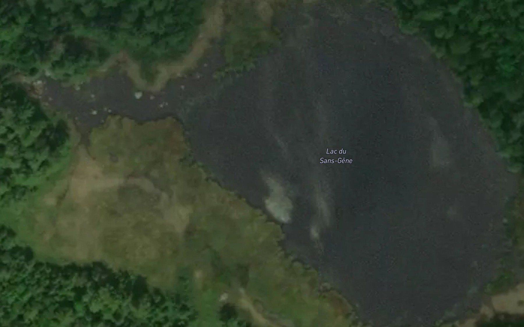 Satellite map of the Lac du Sans-Gene