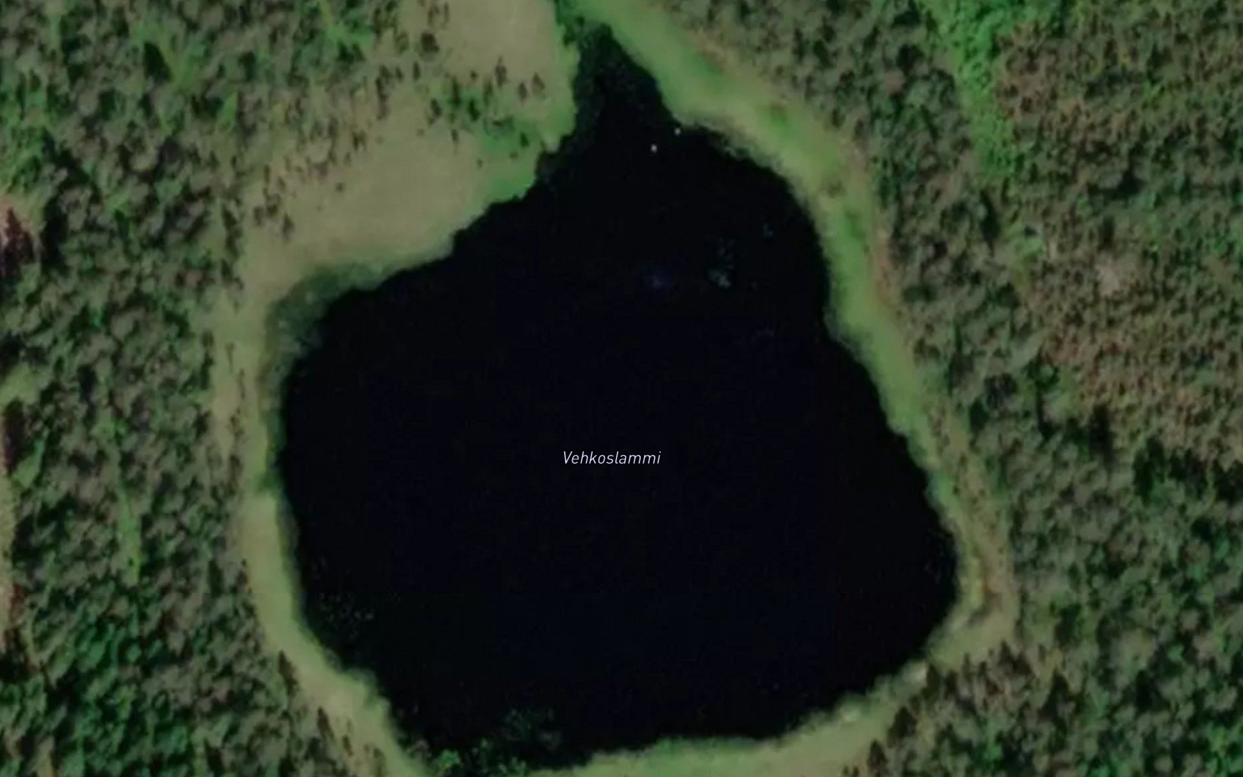 Vehkoslammi