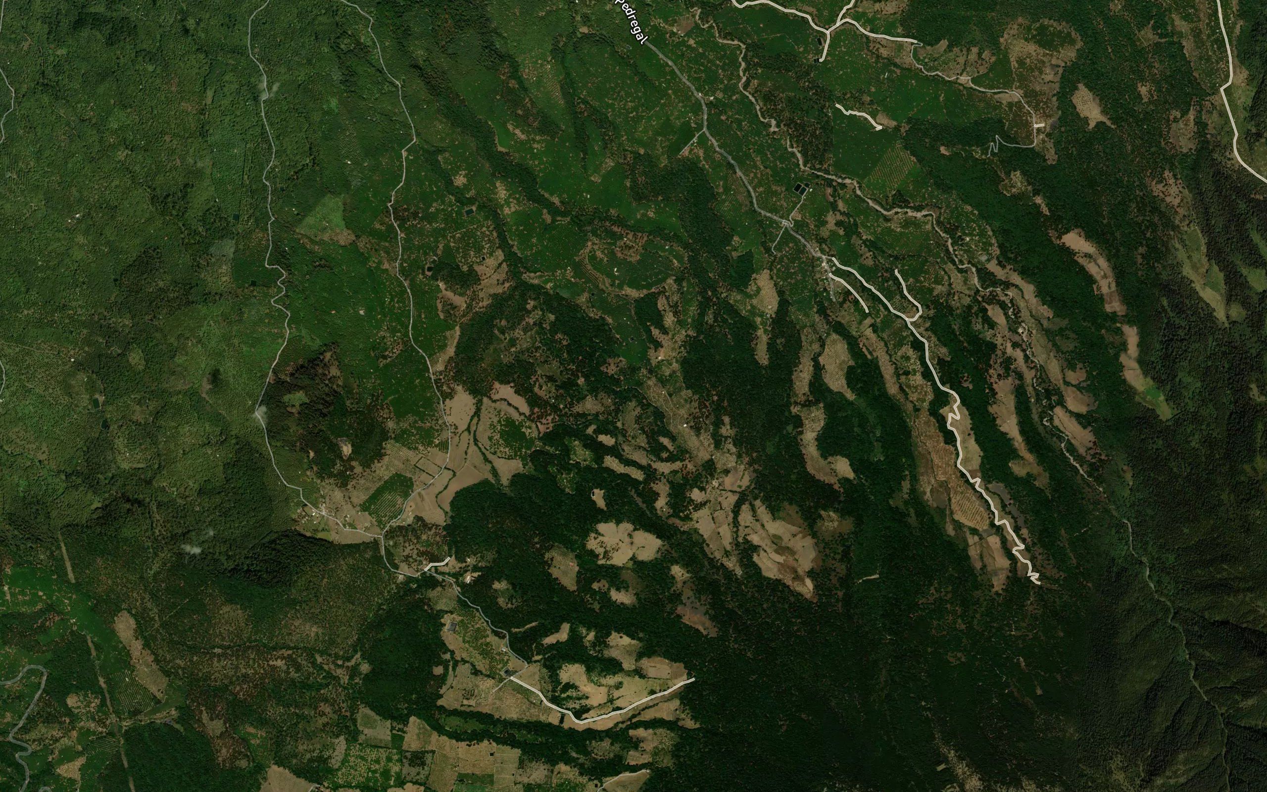 Barranca Seca