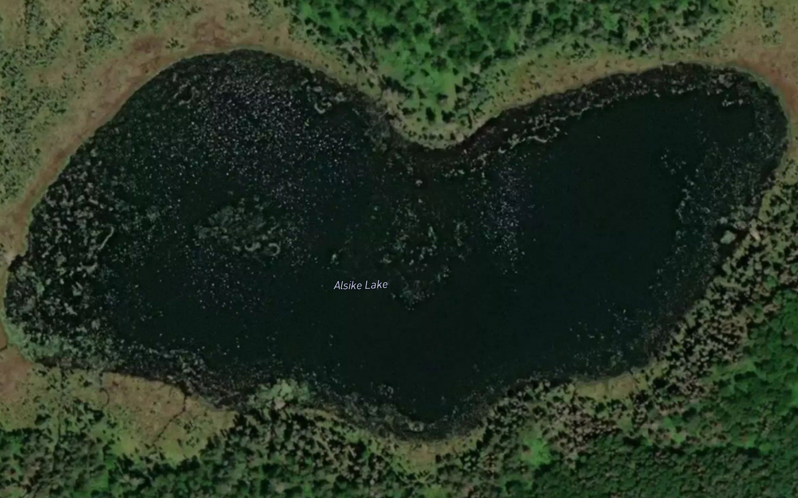 Alsike Lake