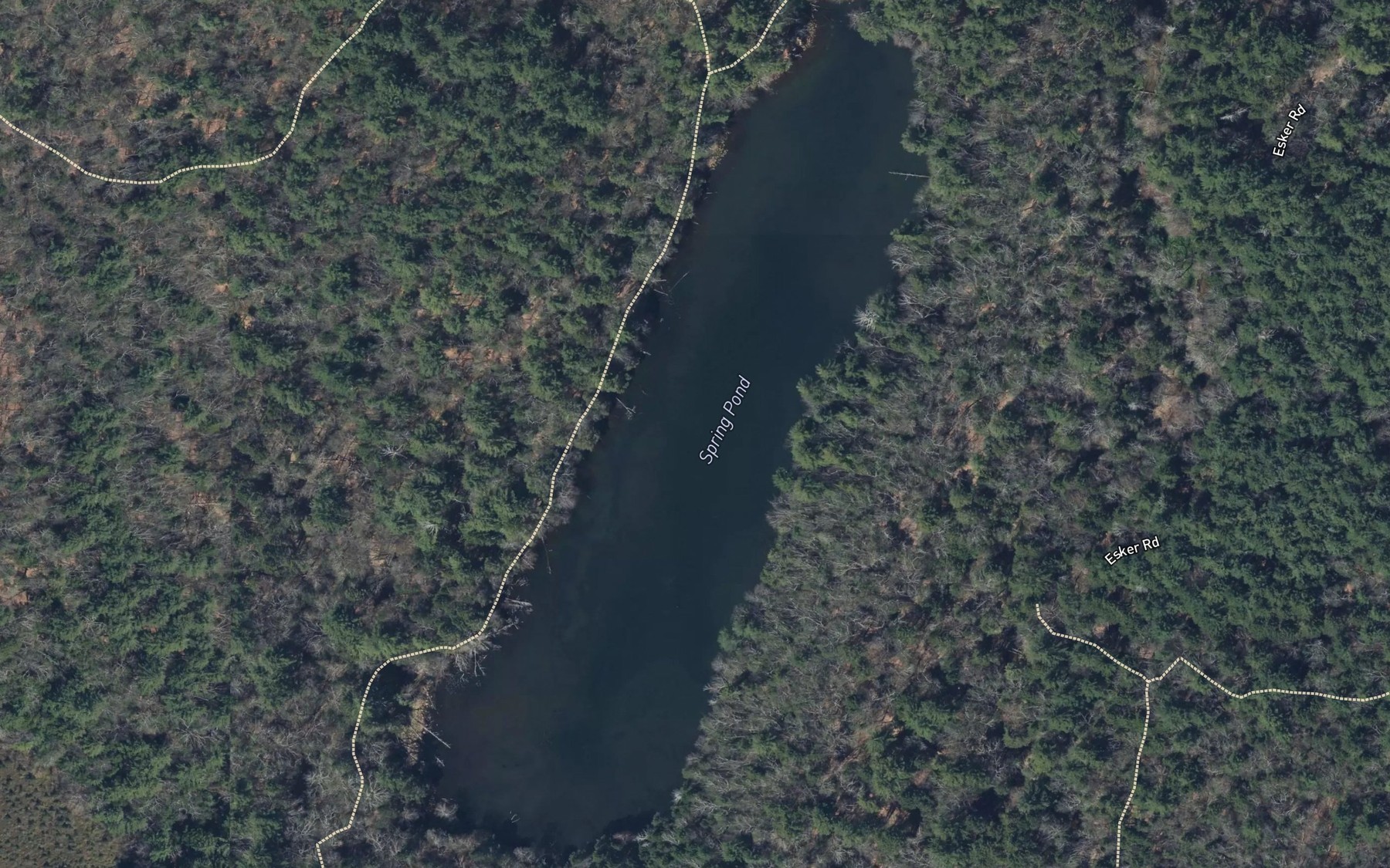 Satellite map of the Spring Pond