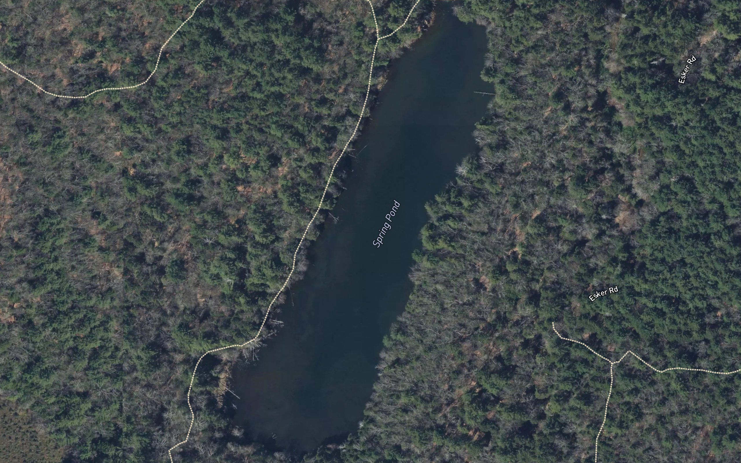 Spring Pond