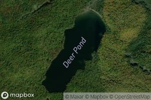Deer Pond