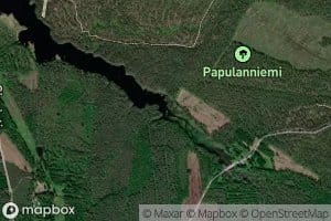 Papulanpuro