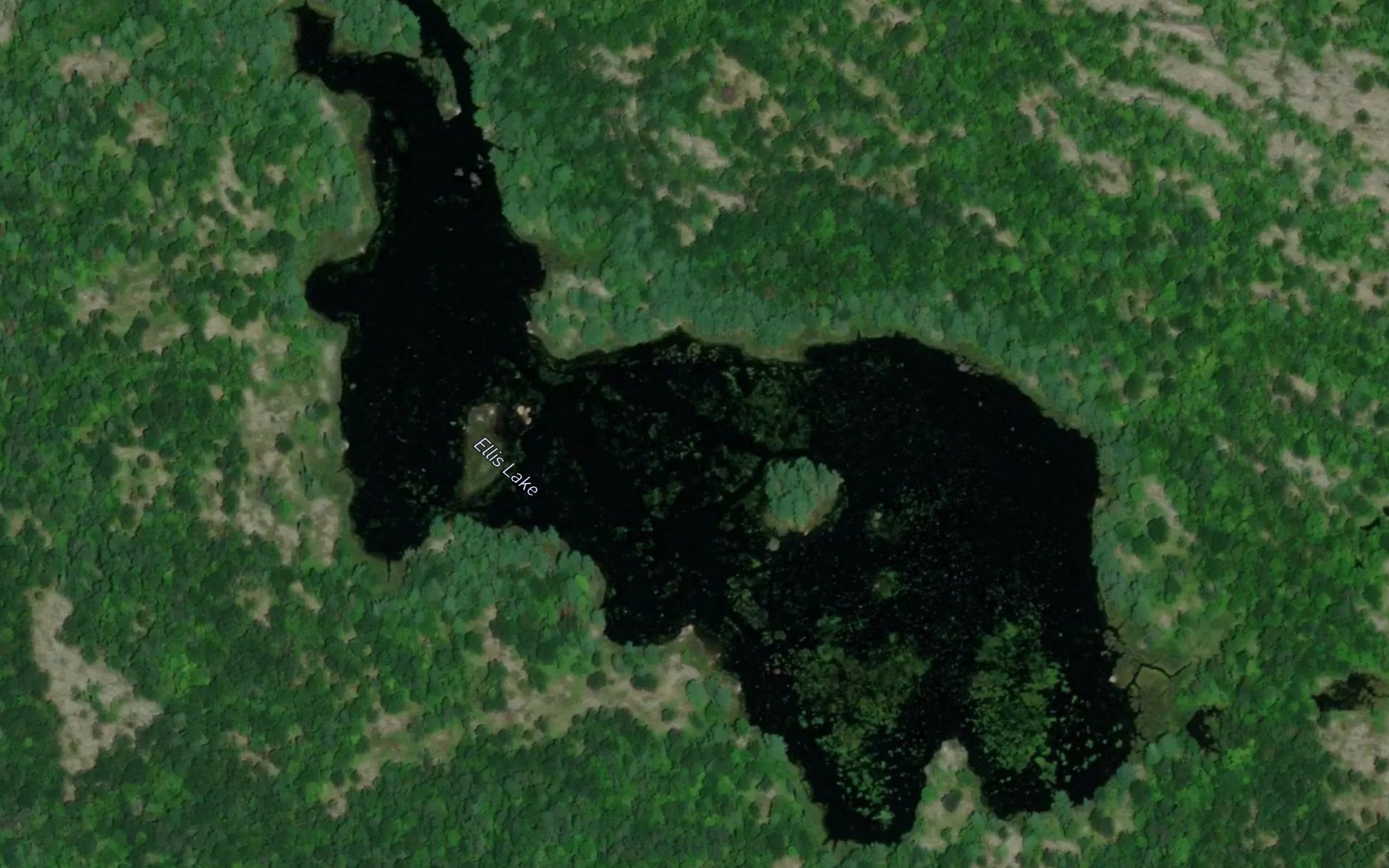 Satellite map of the Ellis Lake